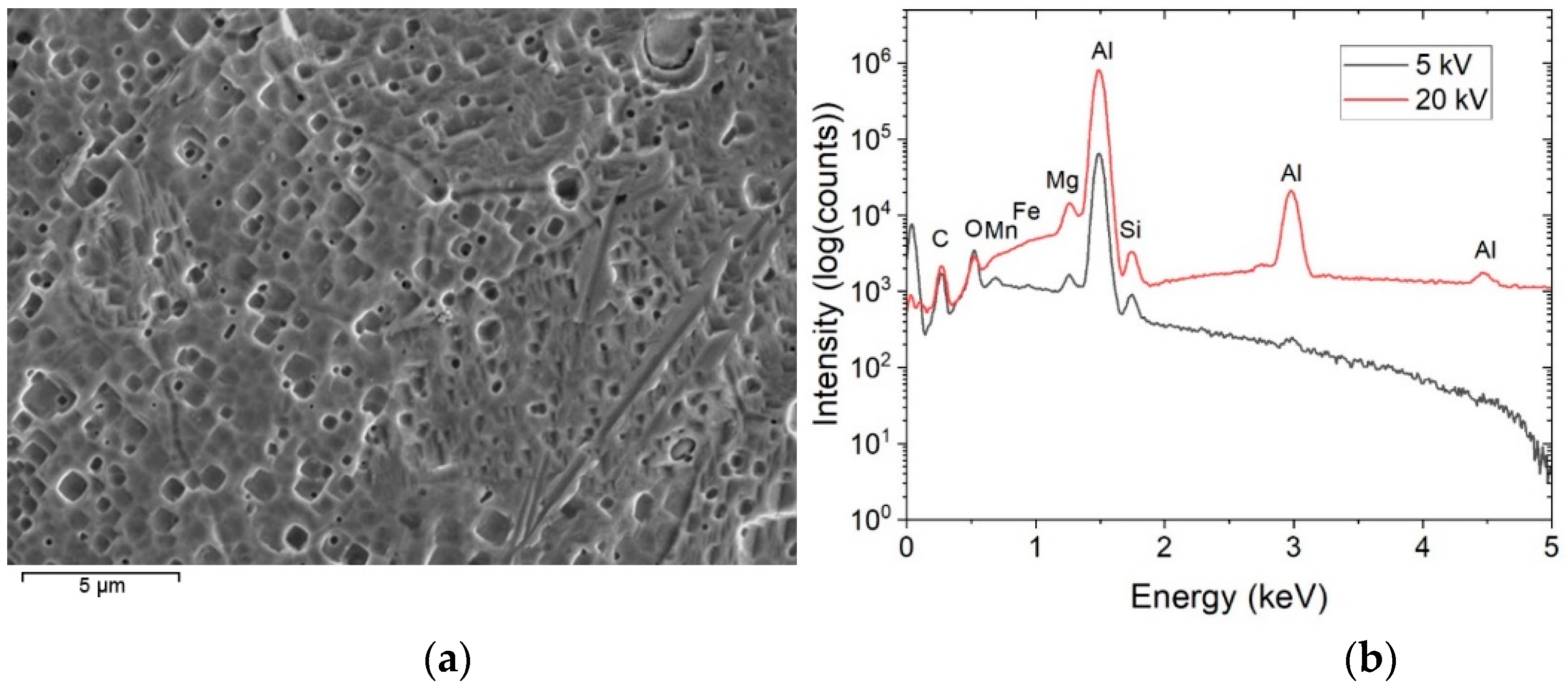 Coatings 13 00013 g004
