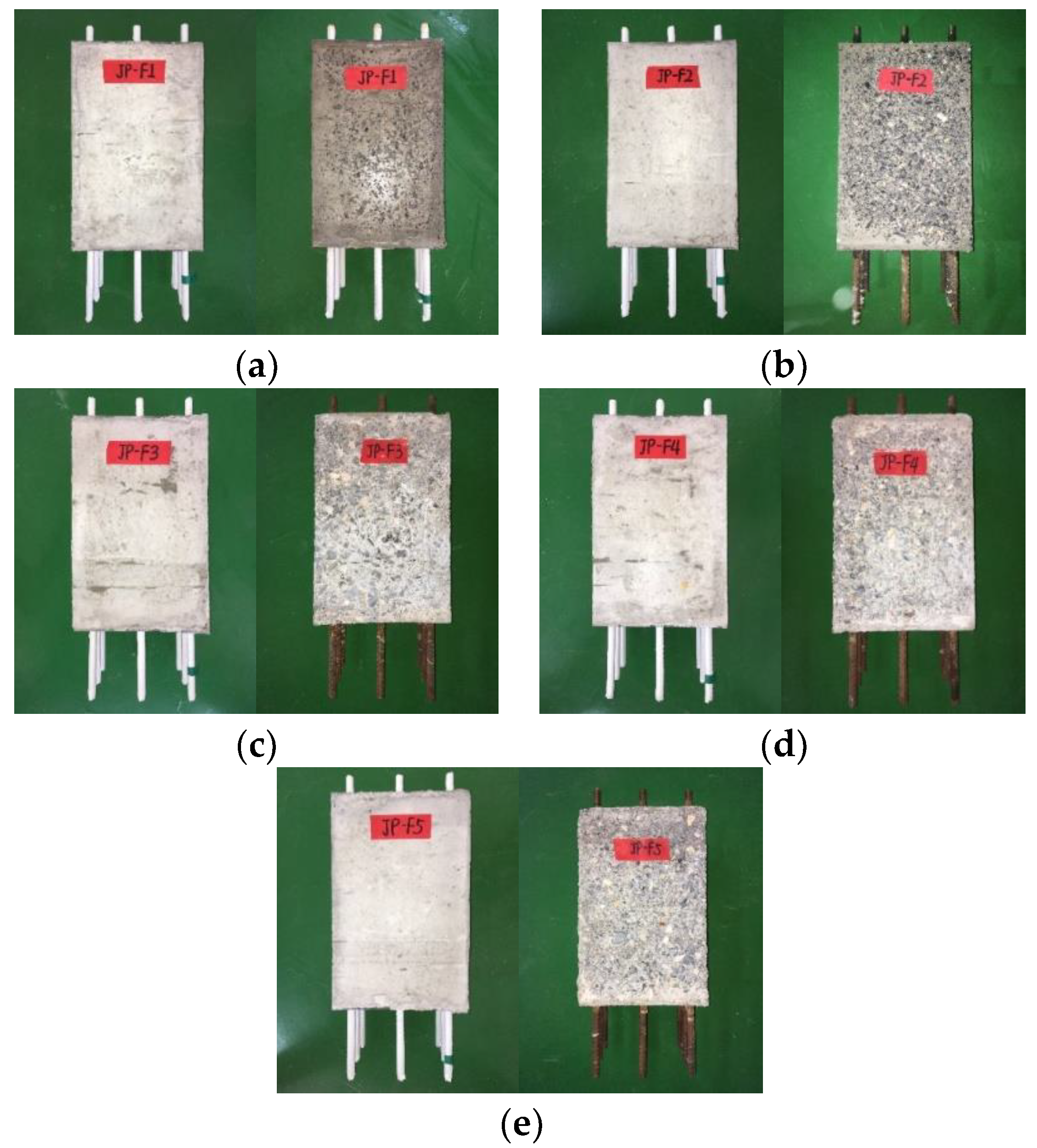 Coatings 13 00016 g010