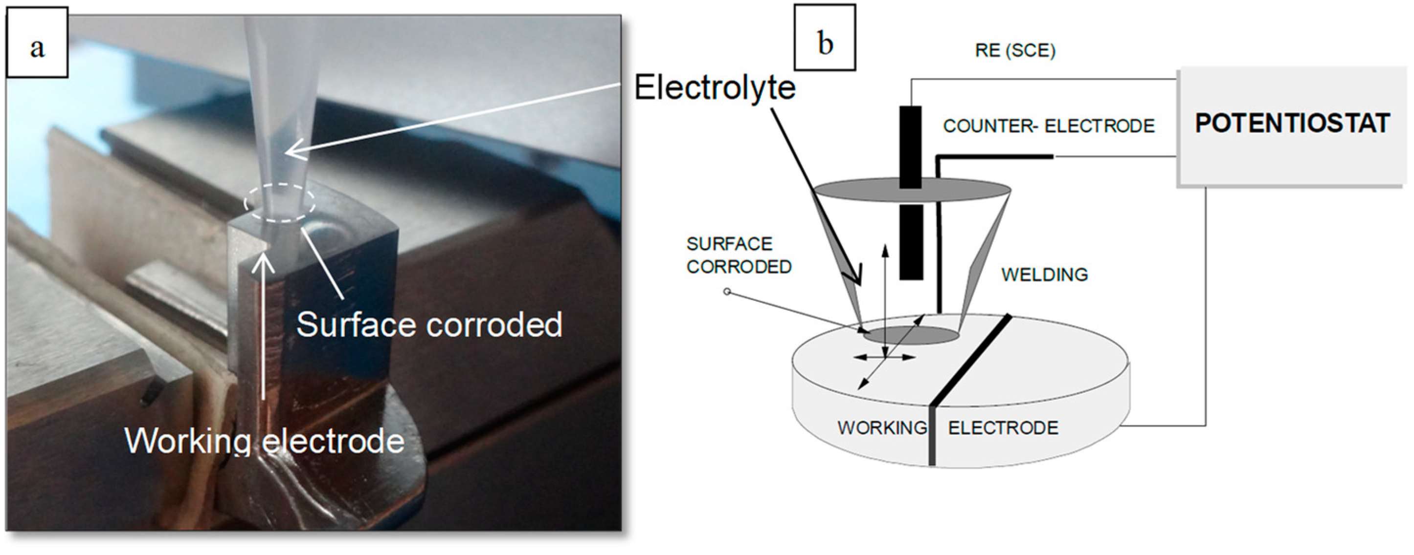 Coatings 13 00018 g003 Coatings 13 00018 g003