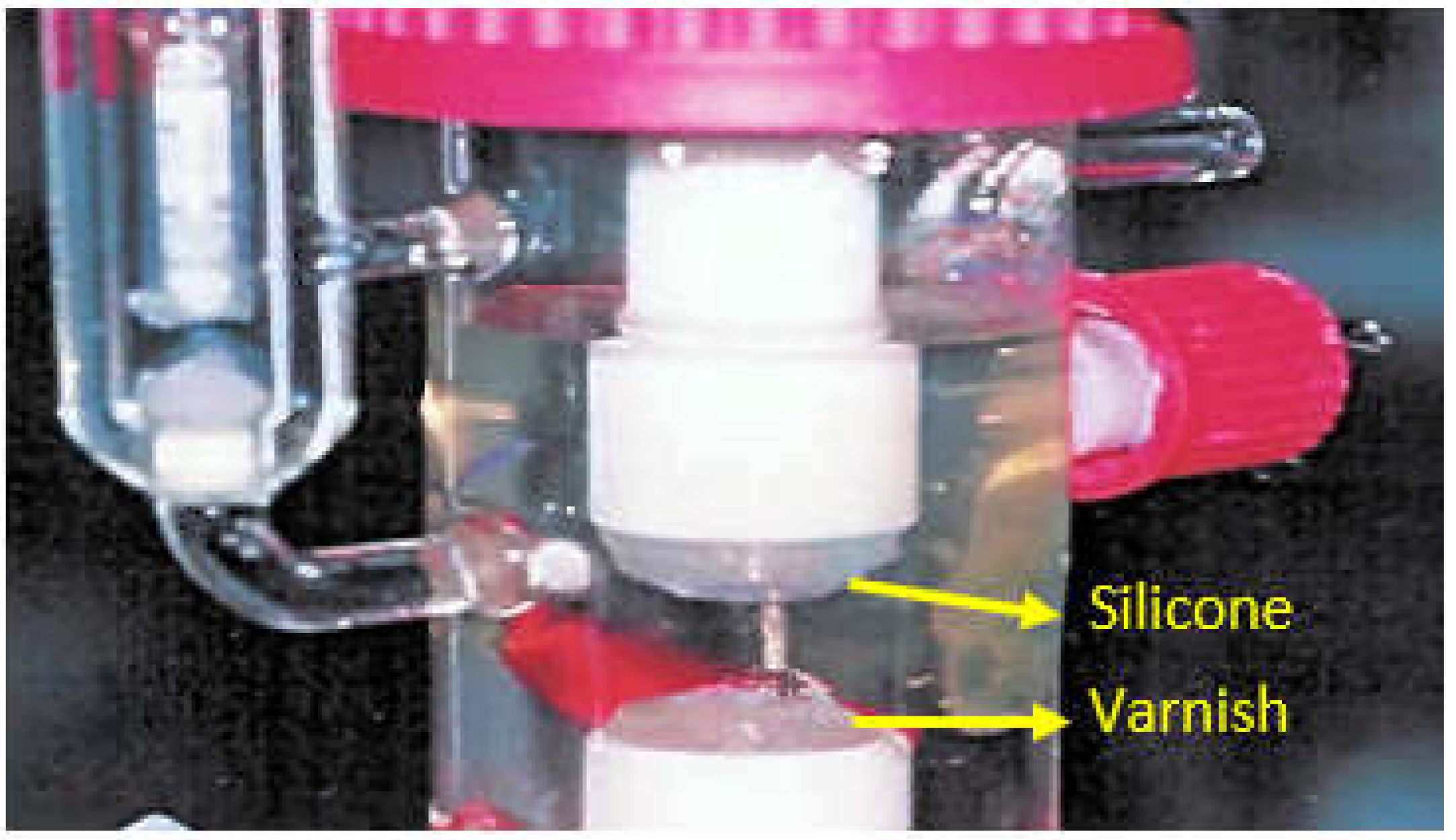 Coatings 13 00018 g006 Coatings 13 00018 g006