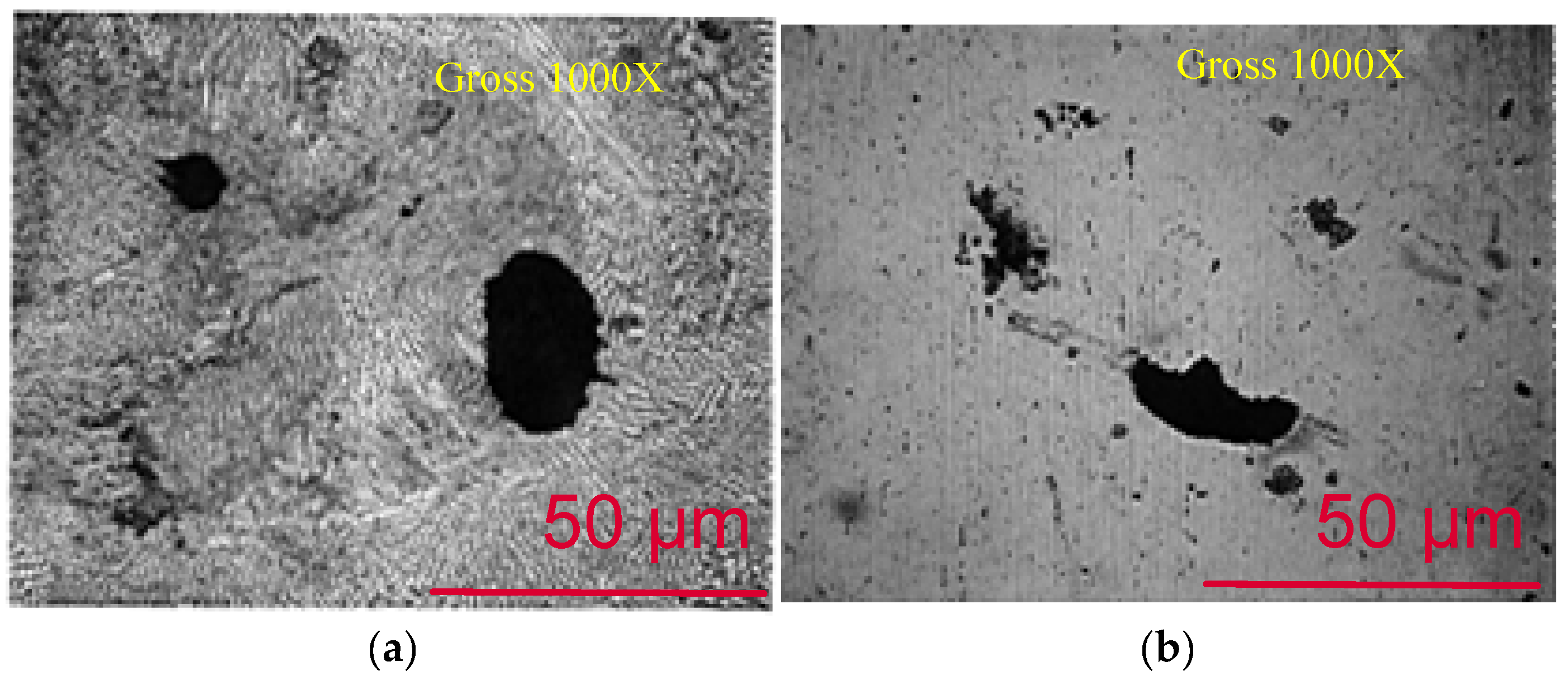 Coatings 13 00018 g015 Coatings 13 00018 g015