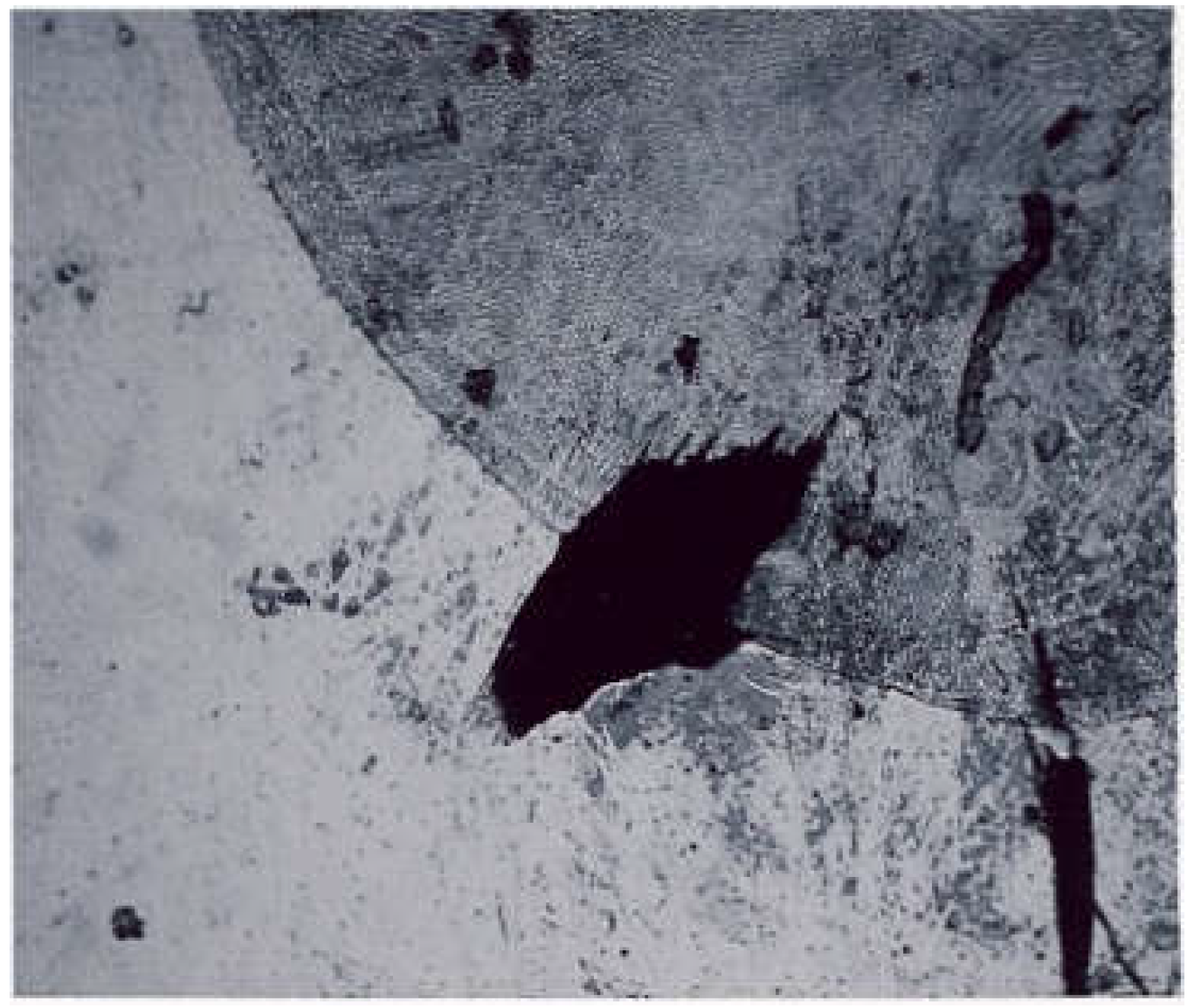 Coatings 13 00018 g019 Coatings 13 00018 g019