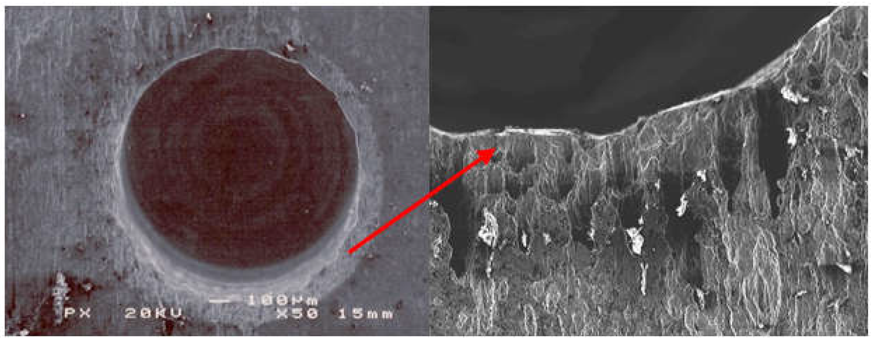 Coatings 13 00018 g028 Coatings 13 00018 g028