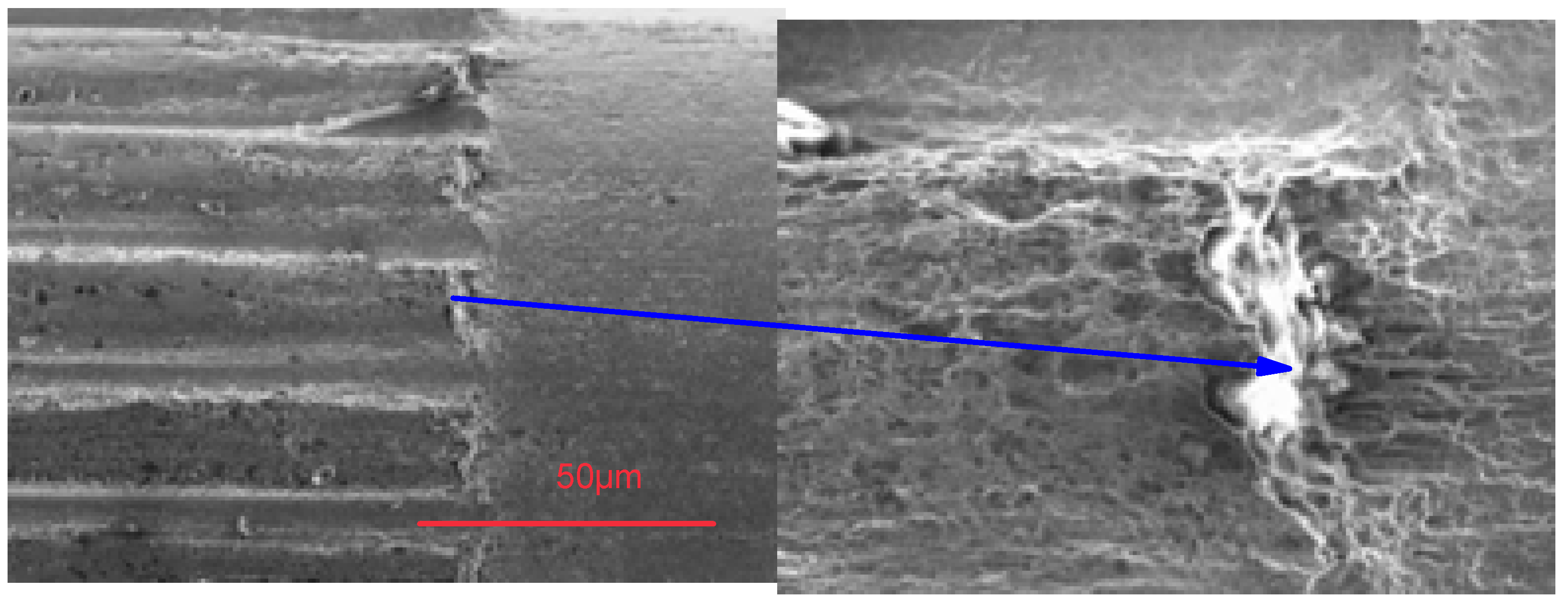 Coatings 13 00018 g029 Coatings 13 00018 g029