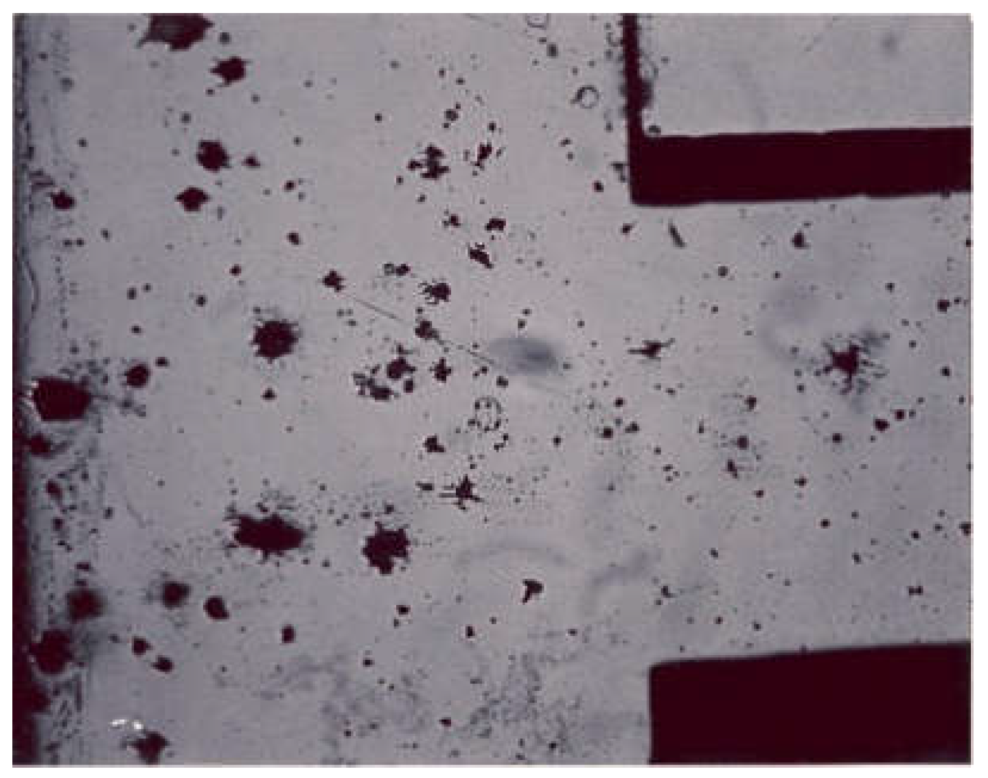 Coatings 13 00018 g036 Coatings 13 00018 g036