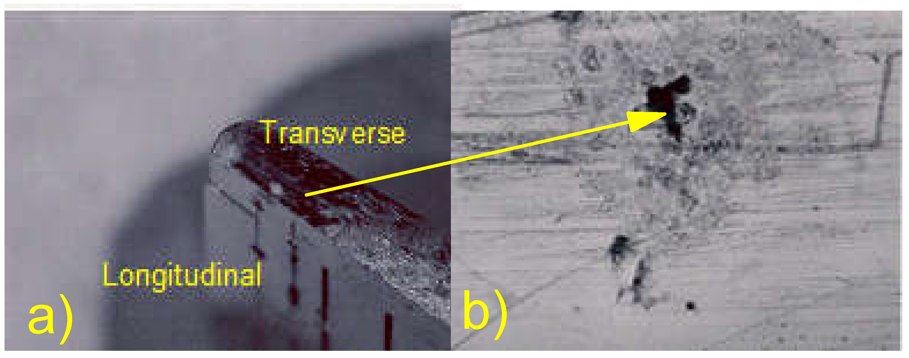 Coatings 13 00018 g038 Coatings 13 00018 g038