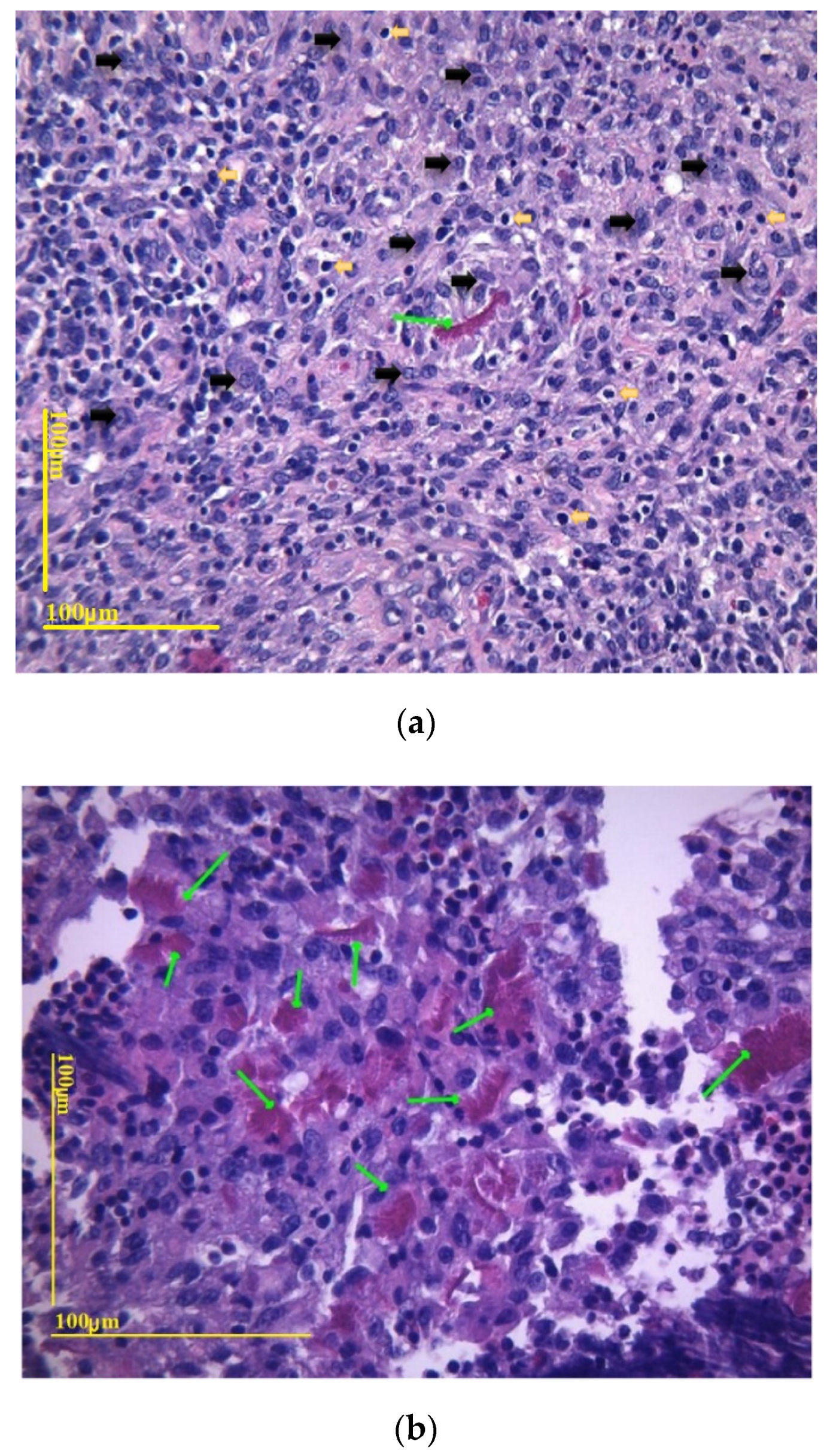 Coatings 13 00019 g005