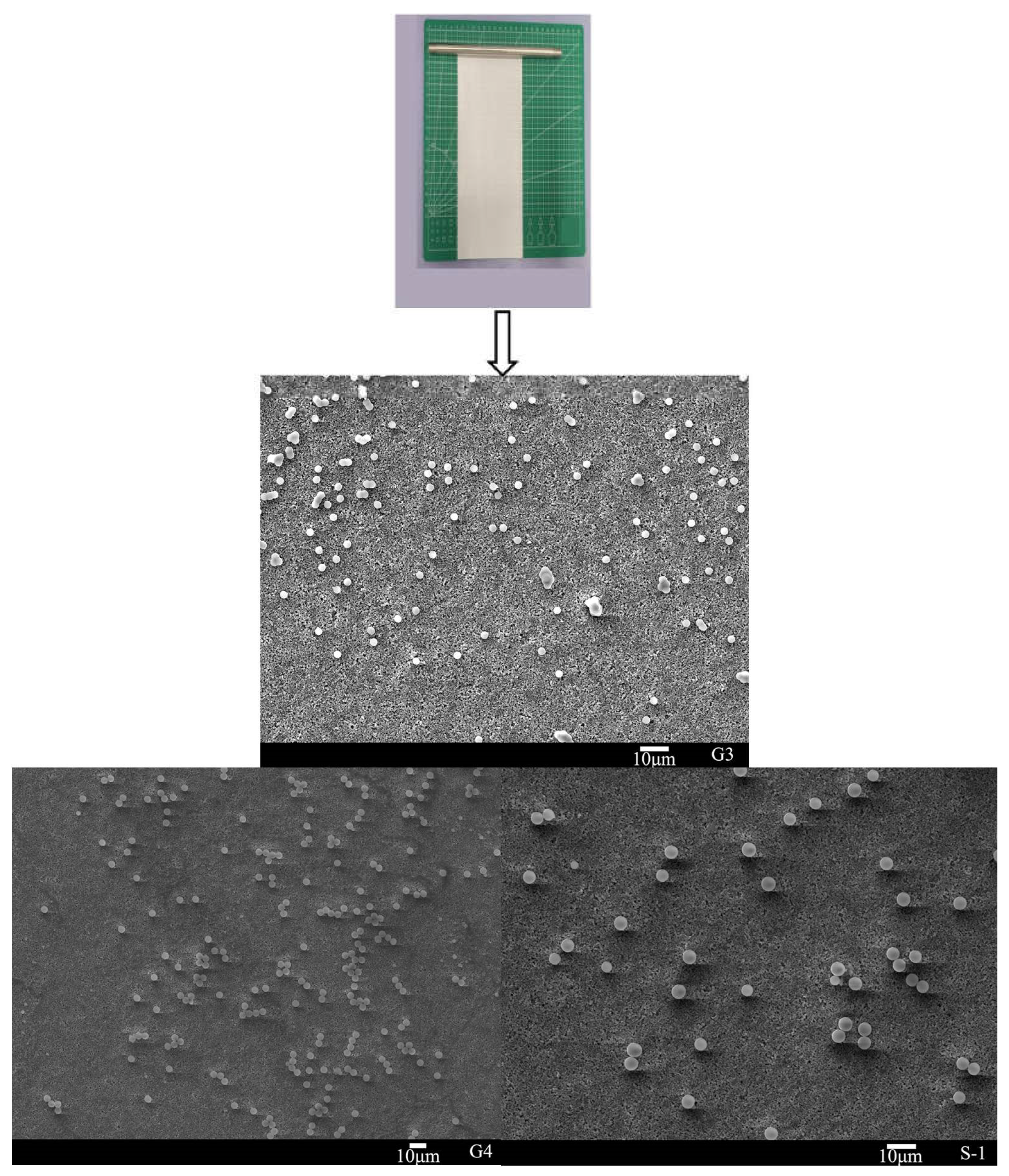 Coatings 13 00021 g007 Coatings 13 00021 g007