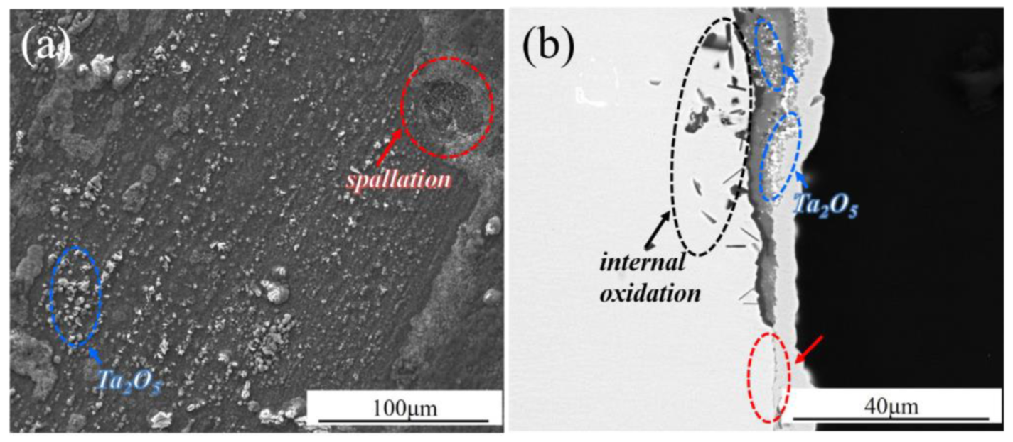 Coatings 13 00022 g005 Coatings 13 00022 g005