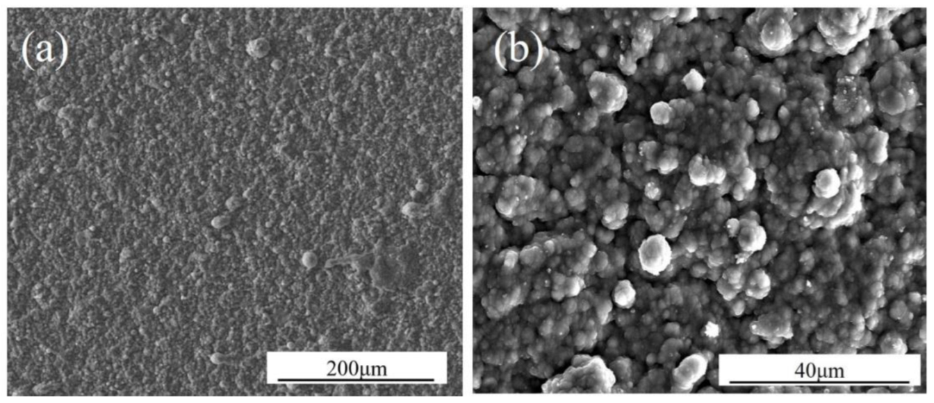 Coatings 13 00022 g006 Coatings 13 00022 g006