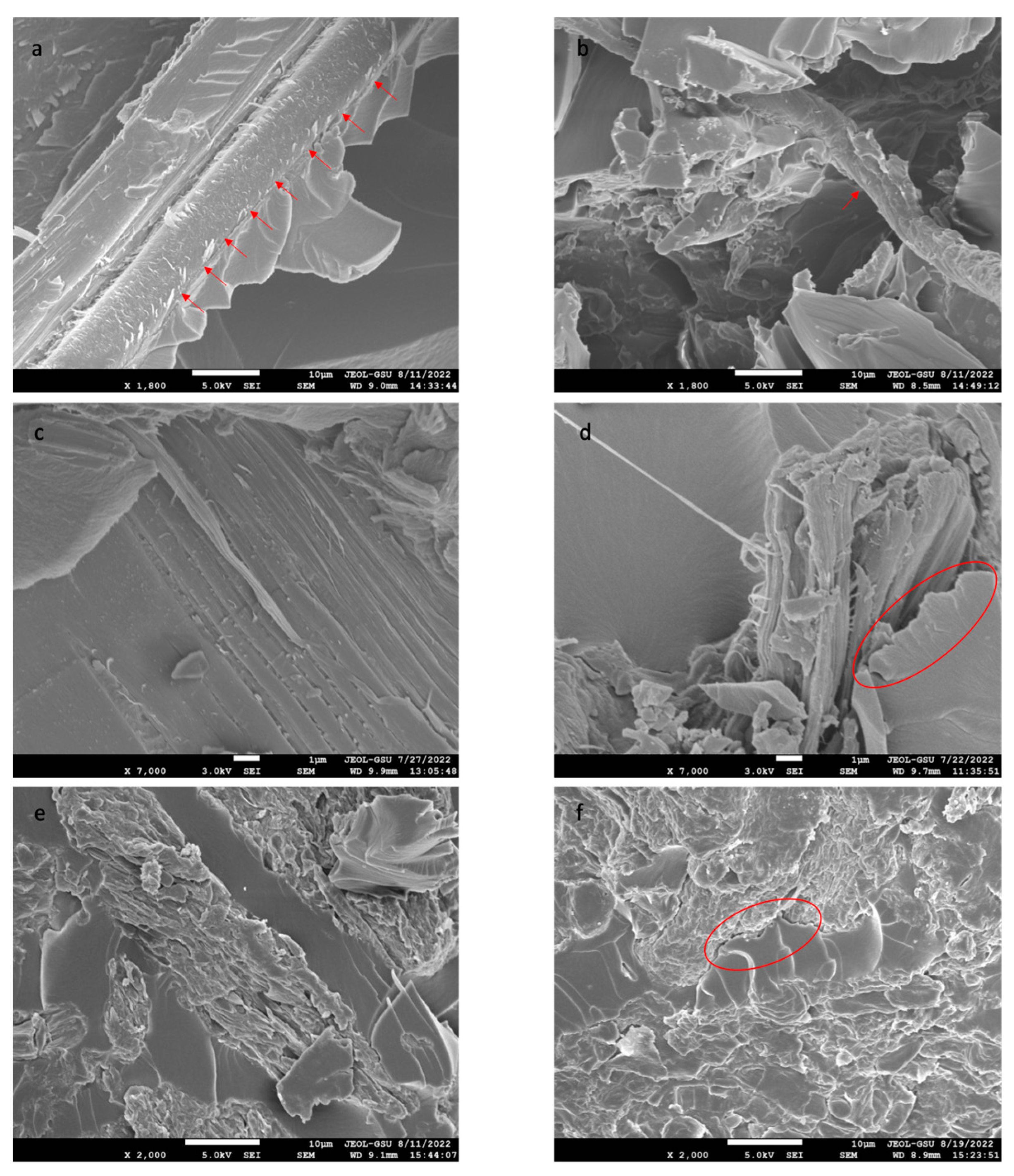 Coatings 13 00025 g008 Coatings 13 00025 g008