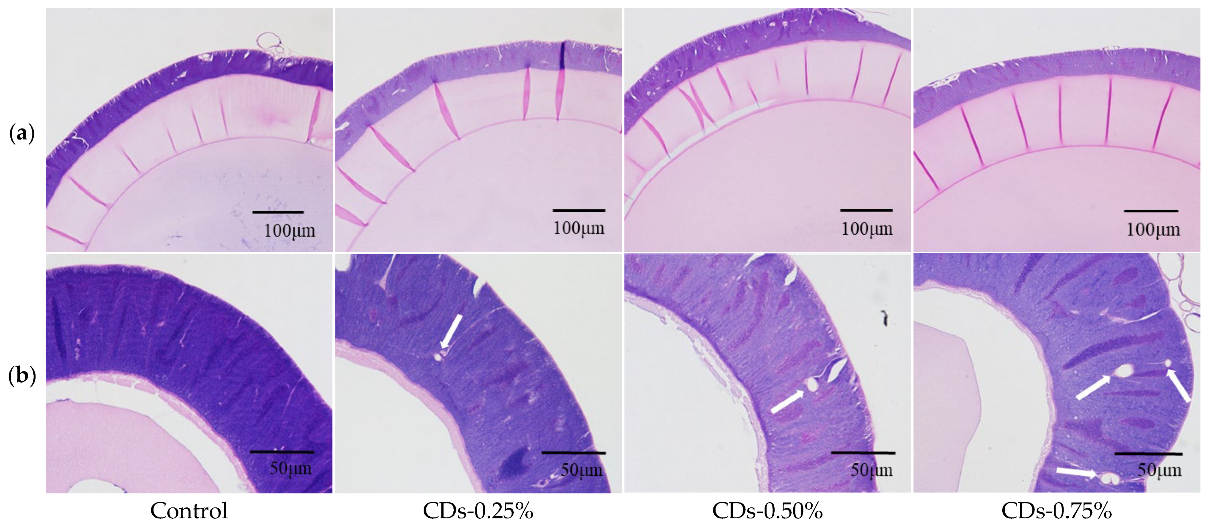 Coatings 13 00031 g003 Coatings 13 00031 g003