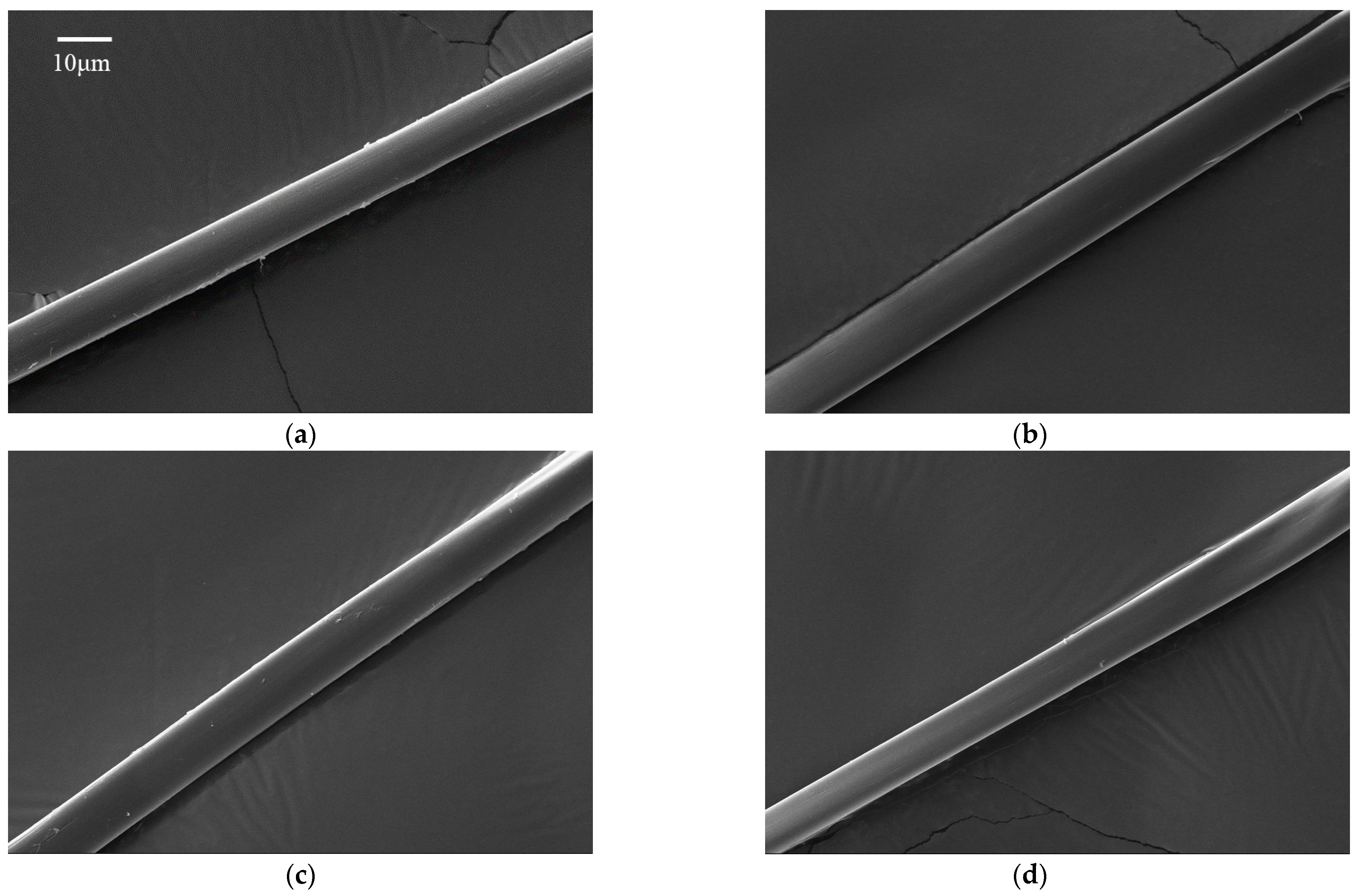 Coatings 13 00031 g007 Coatings 13 00031 g007