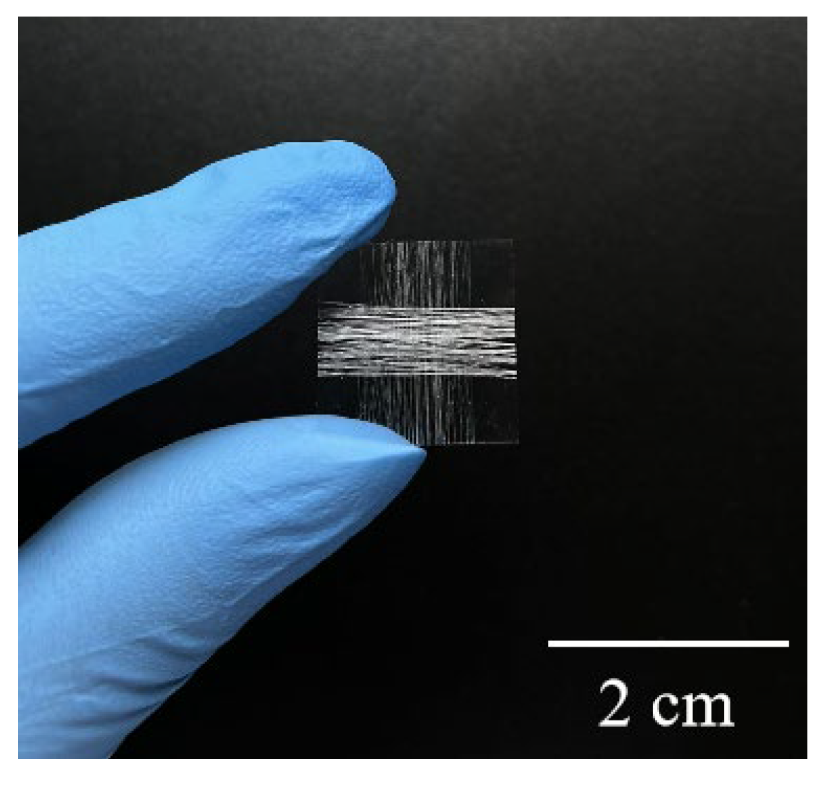 Coatings 13 00031 g010 Coatings 13 00031 g010