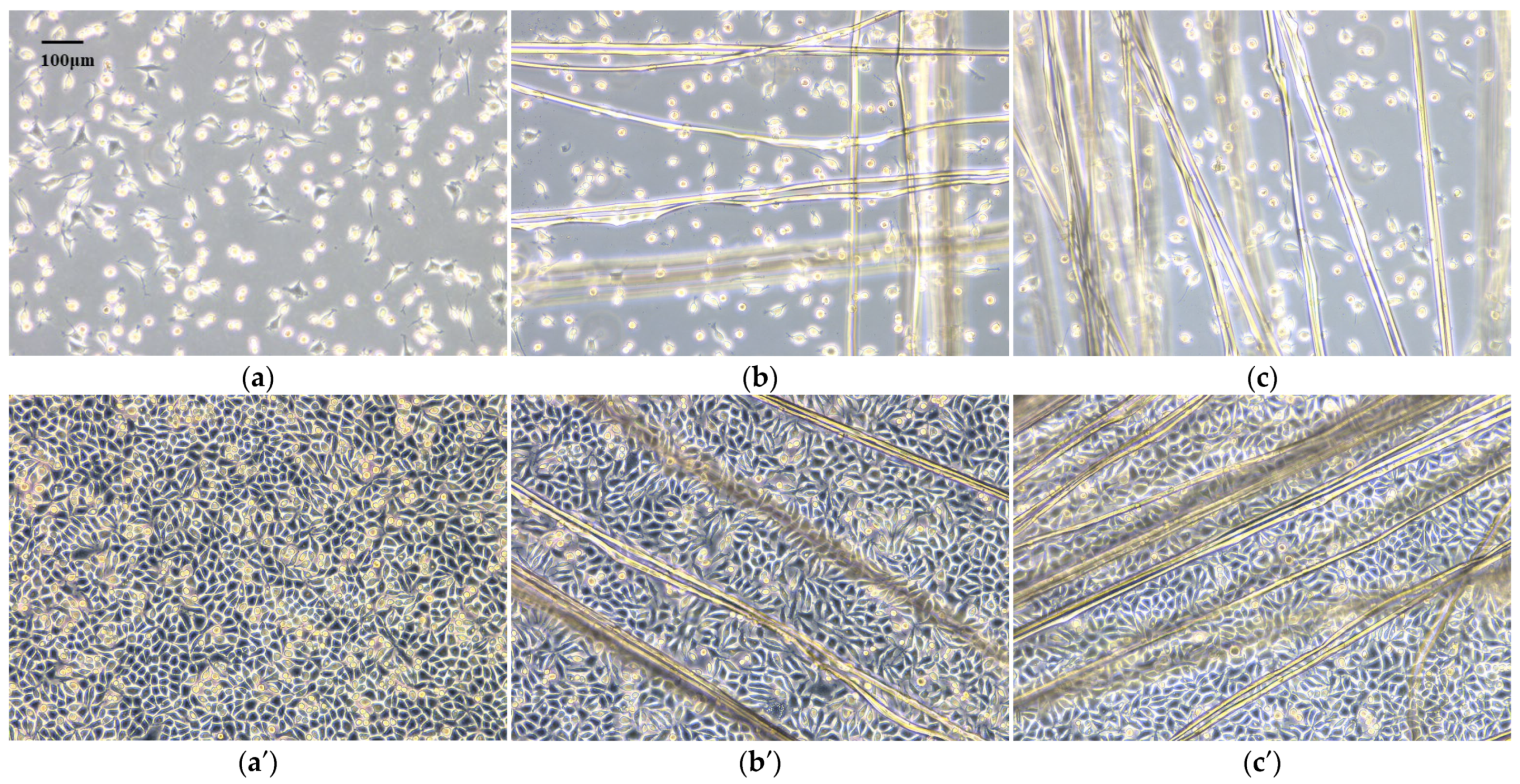 Coatings 13 00031 g011 Coatings 13 00031 g011