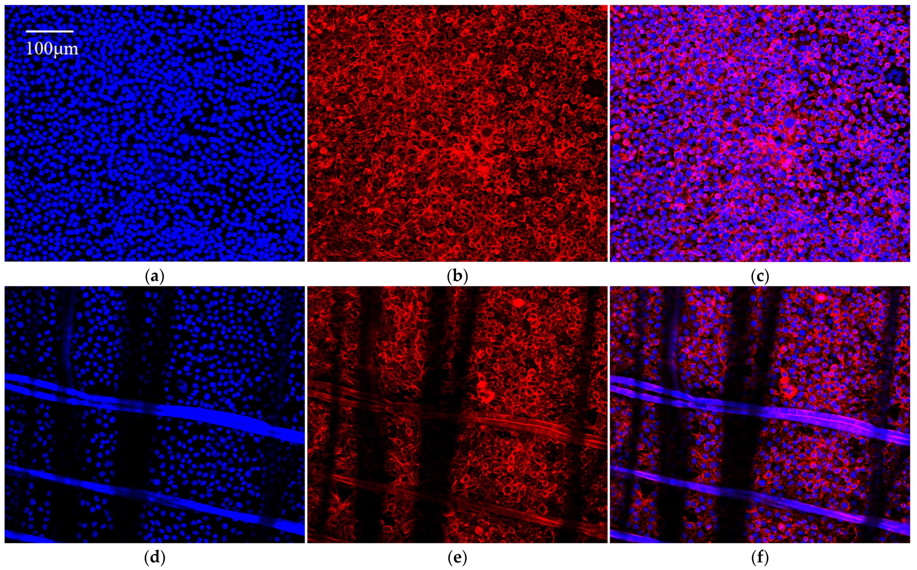 Coatings 13 00031 g012a Coatings 13 00031 g012a