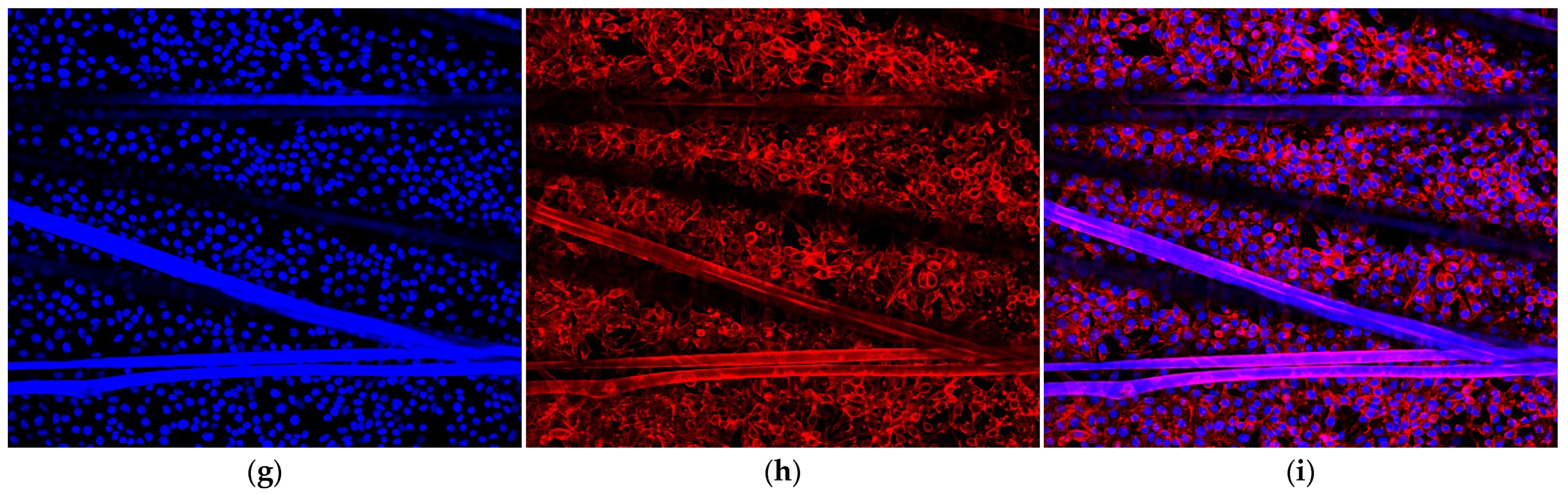 Coatings 13 00031 g012b Coatings 13 00031 g012b