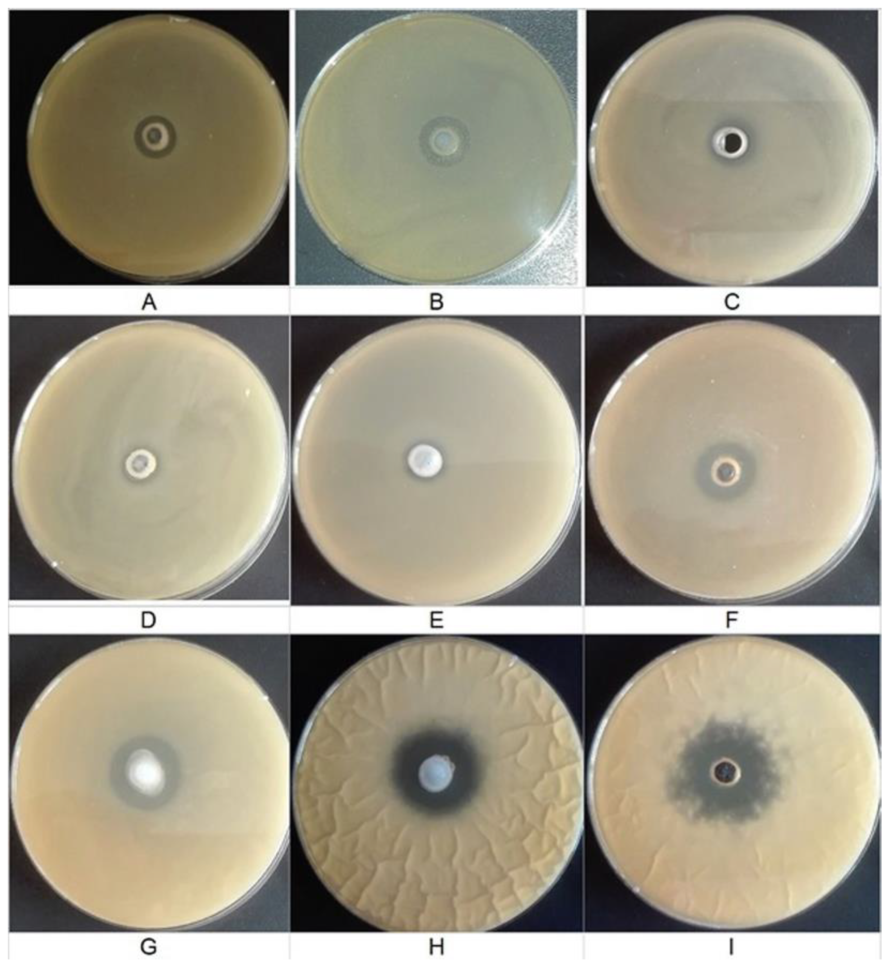 Coatings 13 00032 g001 Coatings 13 00032 g001