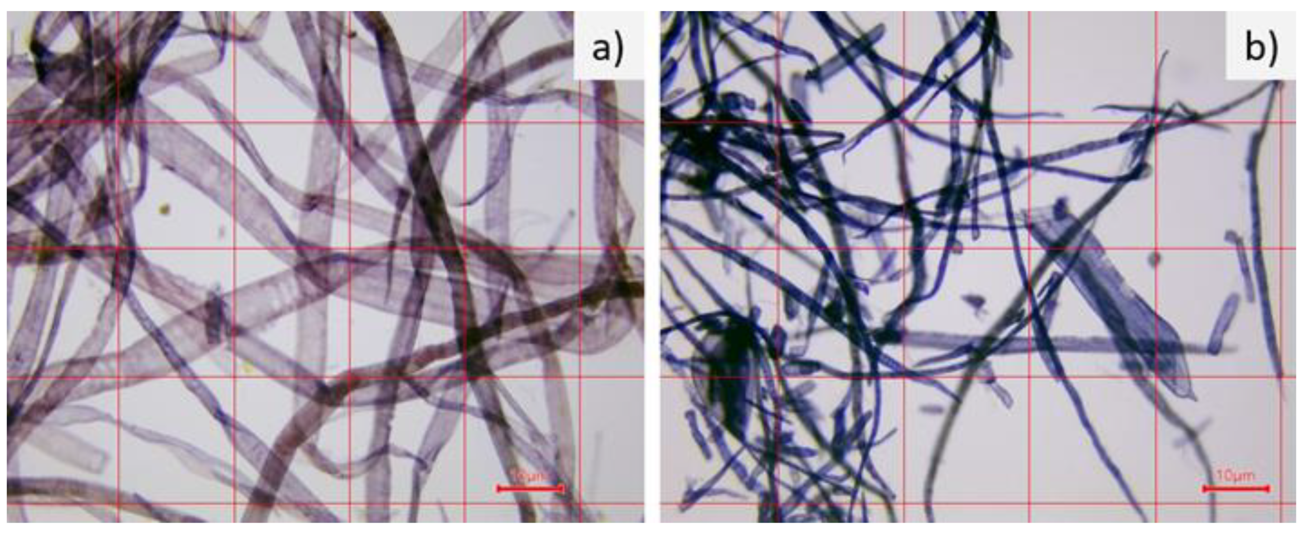 Coatings 13 00032 g002 Coatings 13 00032 g002
