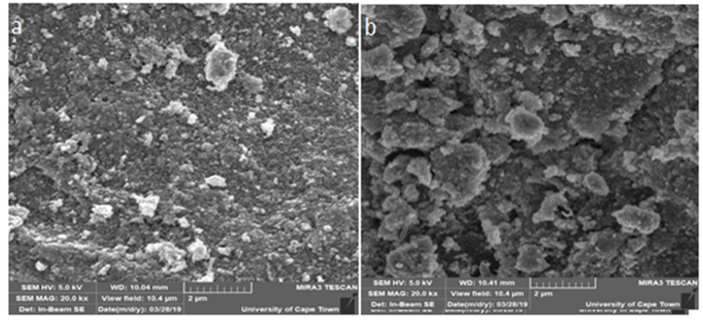 Coatings 13 00039 g006 Coatings 13 00039 g006