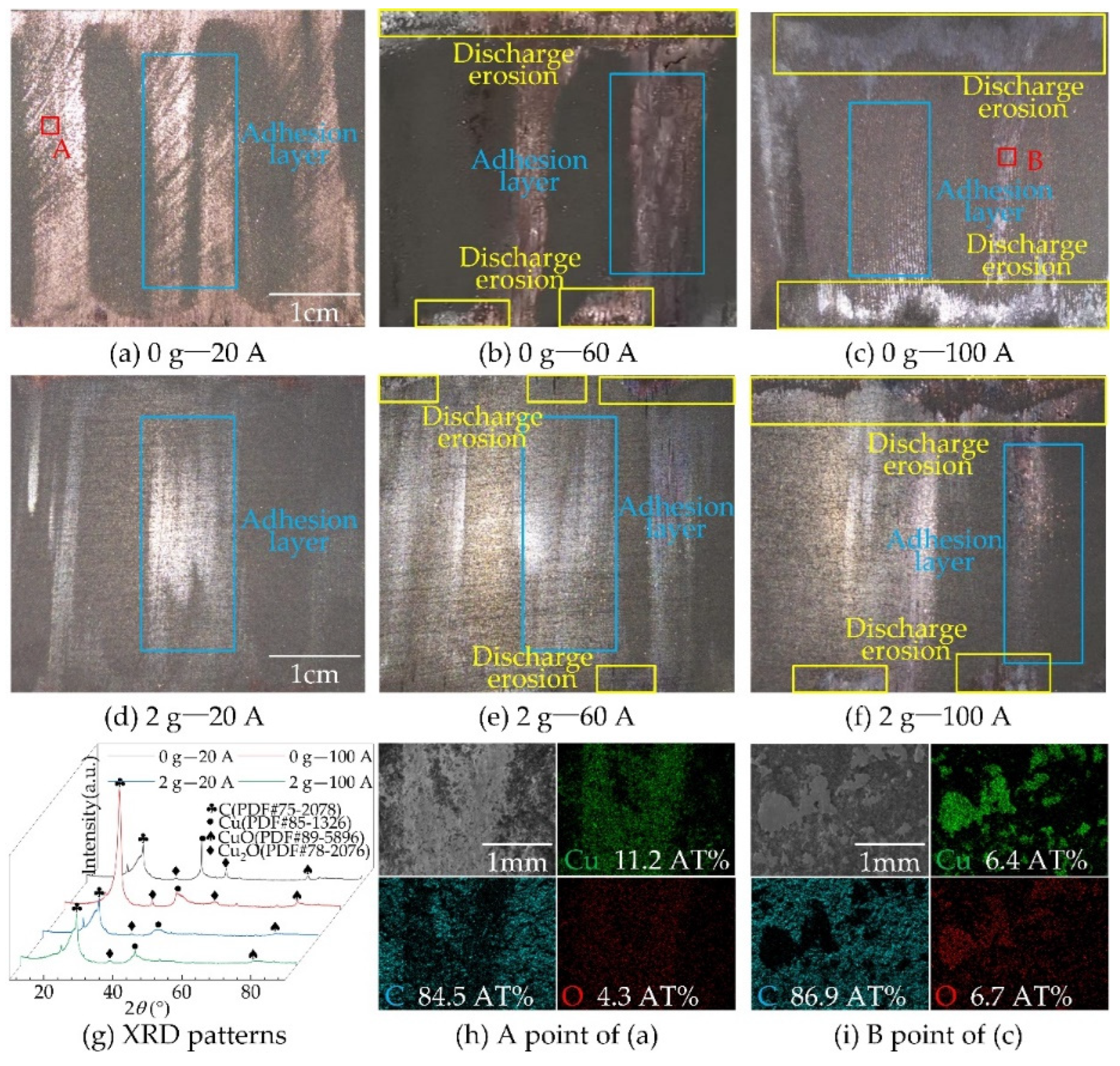Coatings 13 00042 g008
