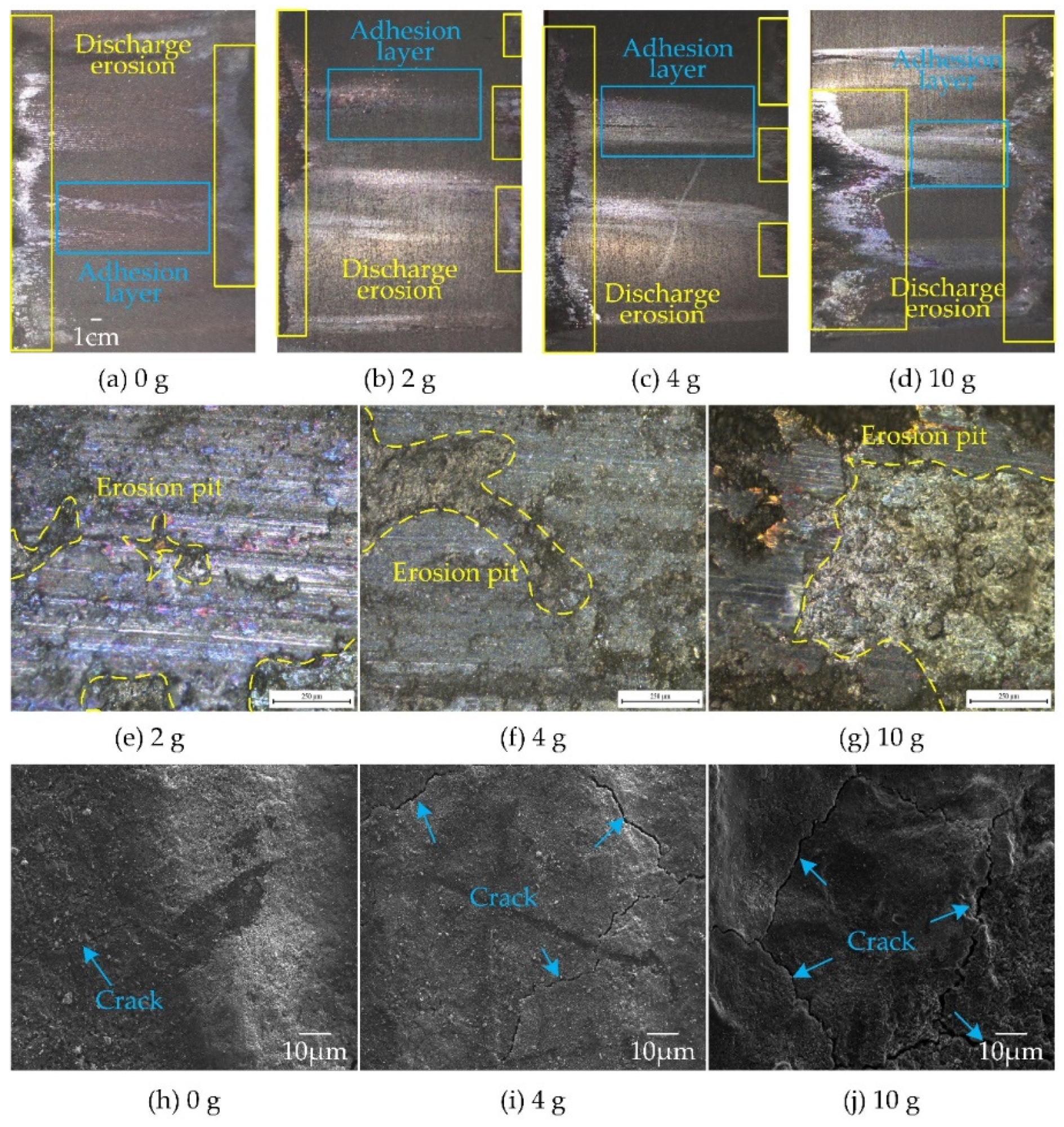 Coatings 13 00042 g009
