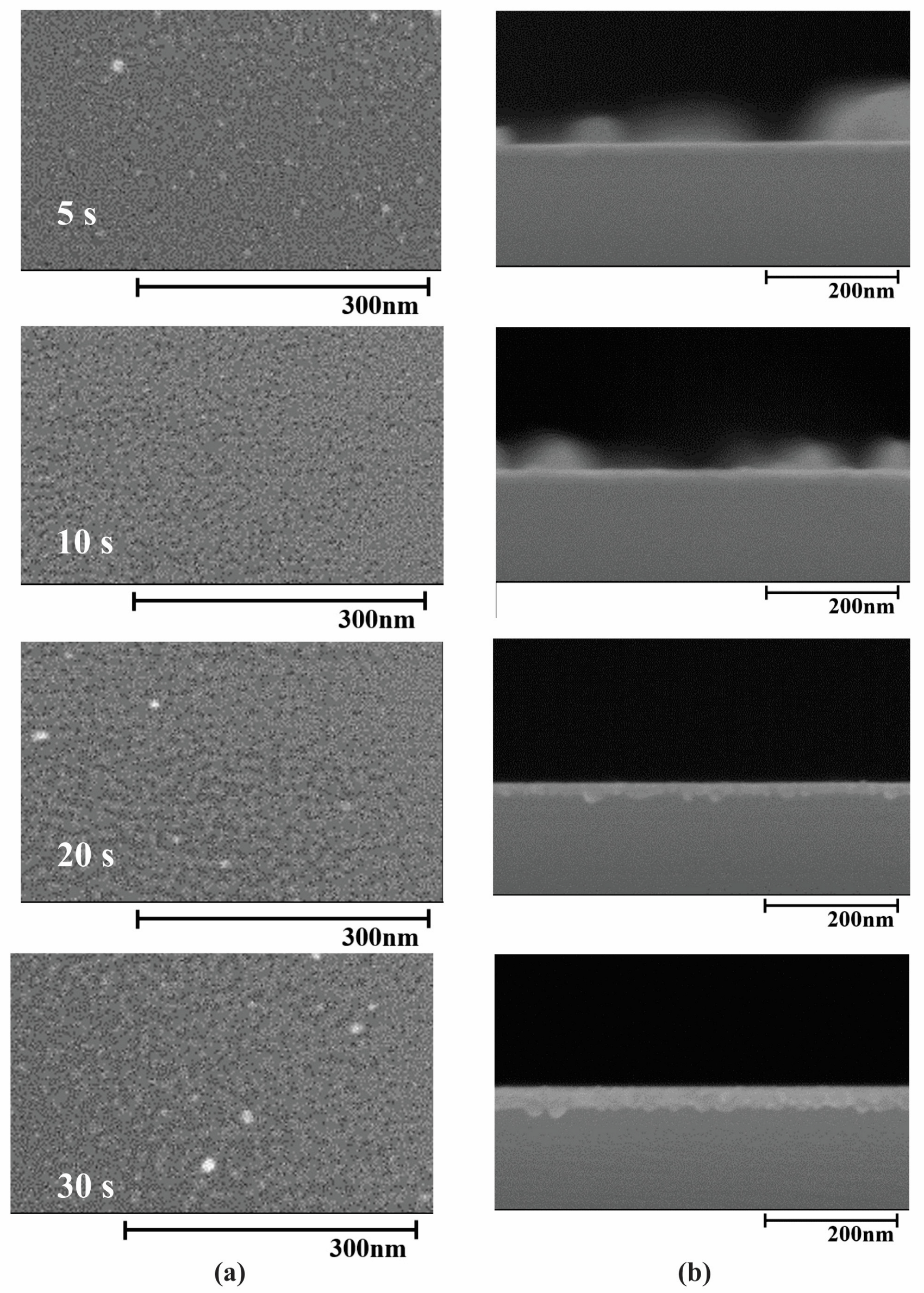 Coatings 13 00043 g003