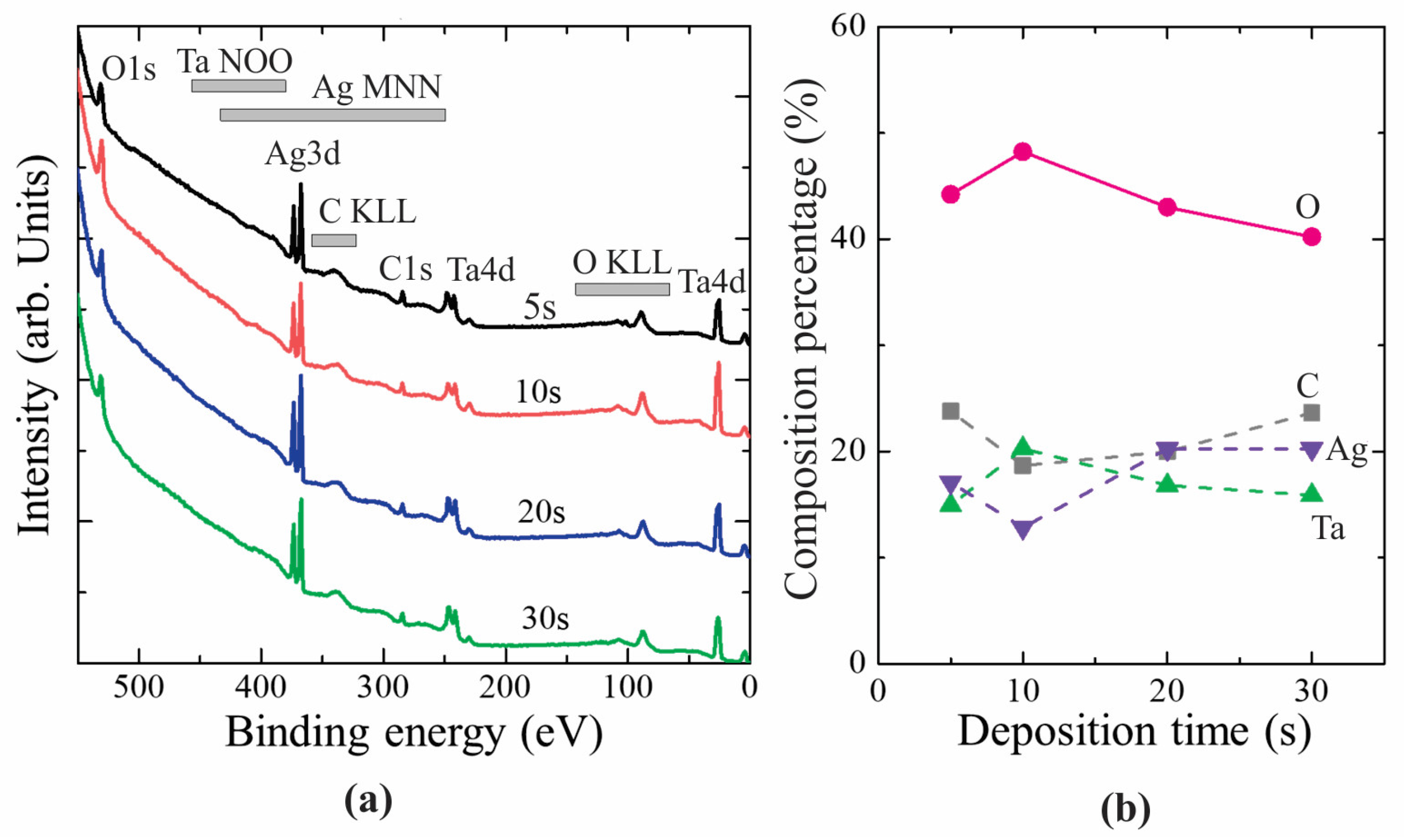 Coatings 13 00043 g005