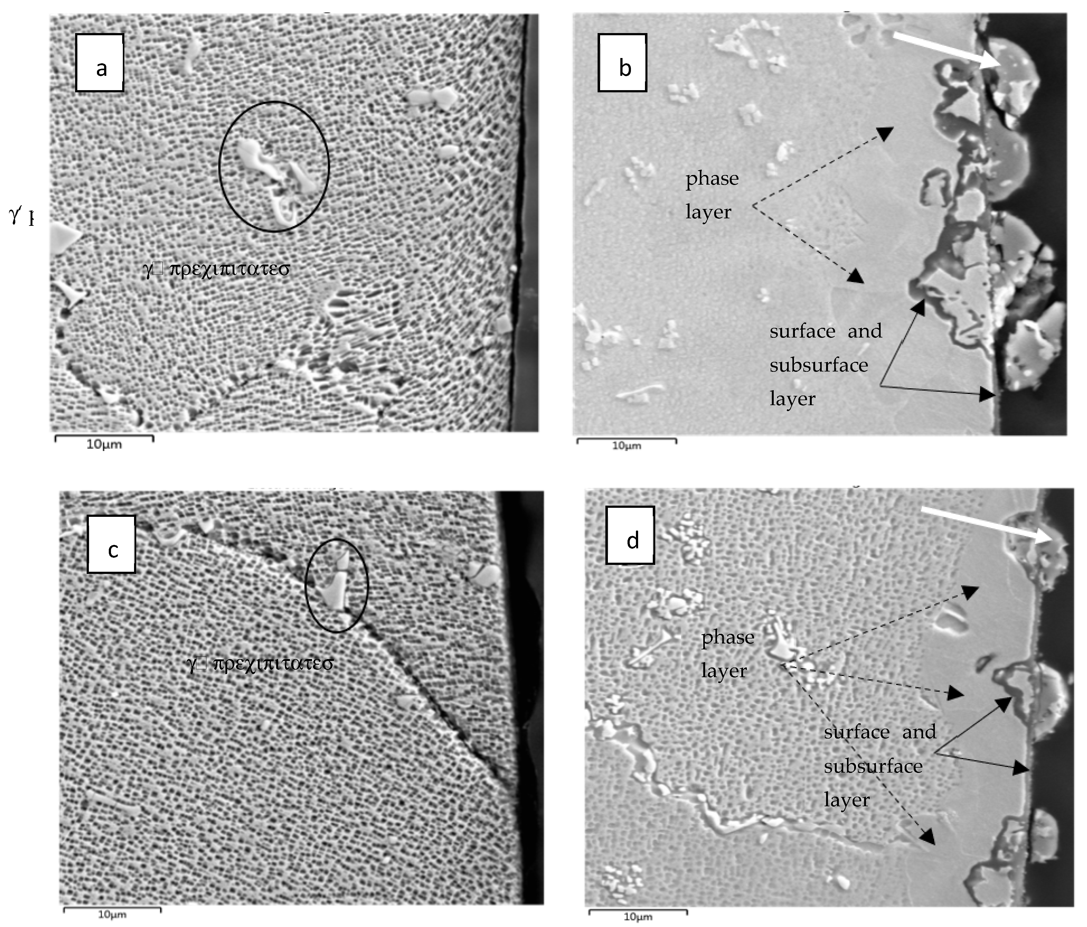 Coatings 13 00045 g004 Coatings 13 00045 g004