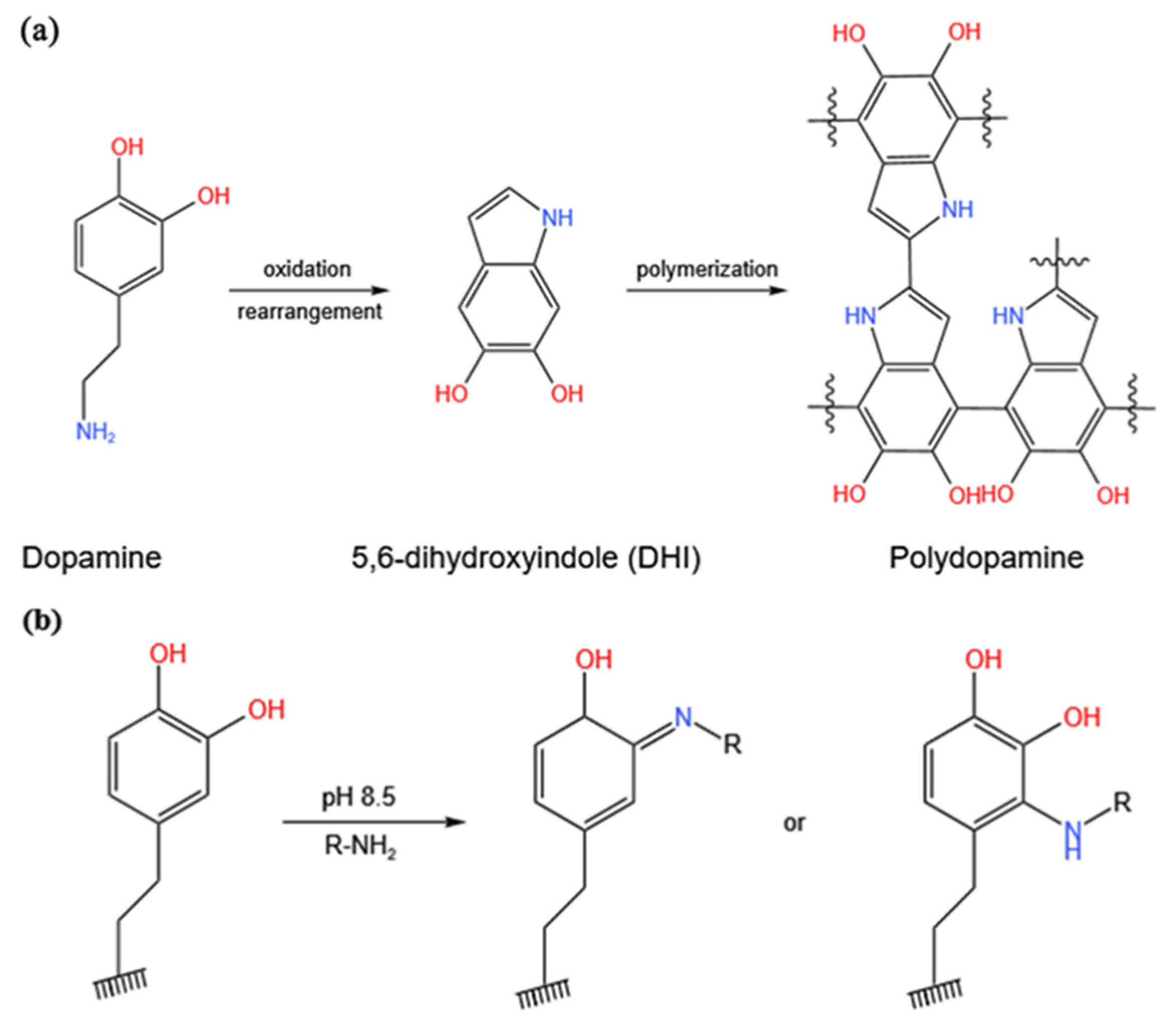 Coatings 13 00050 g001 Coatings 13 00050 g001