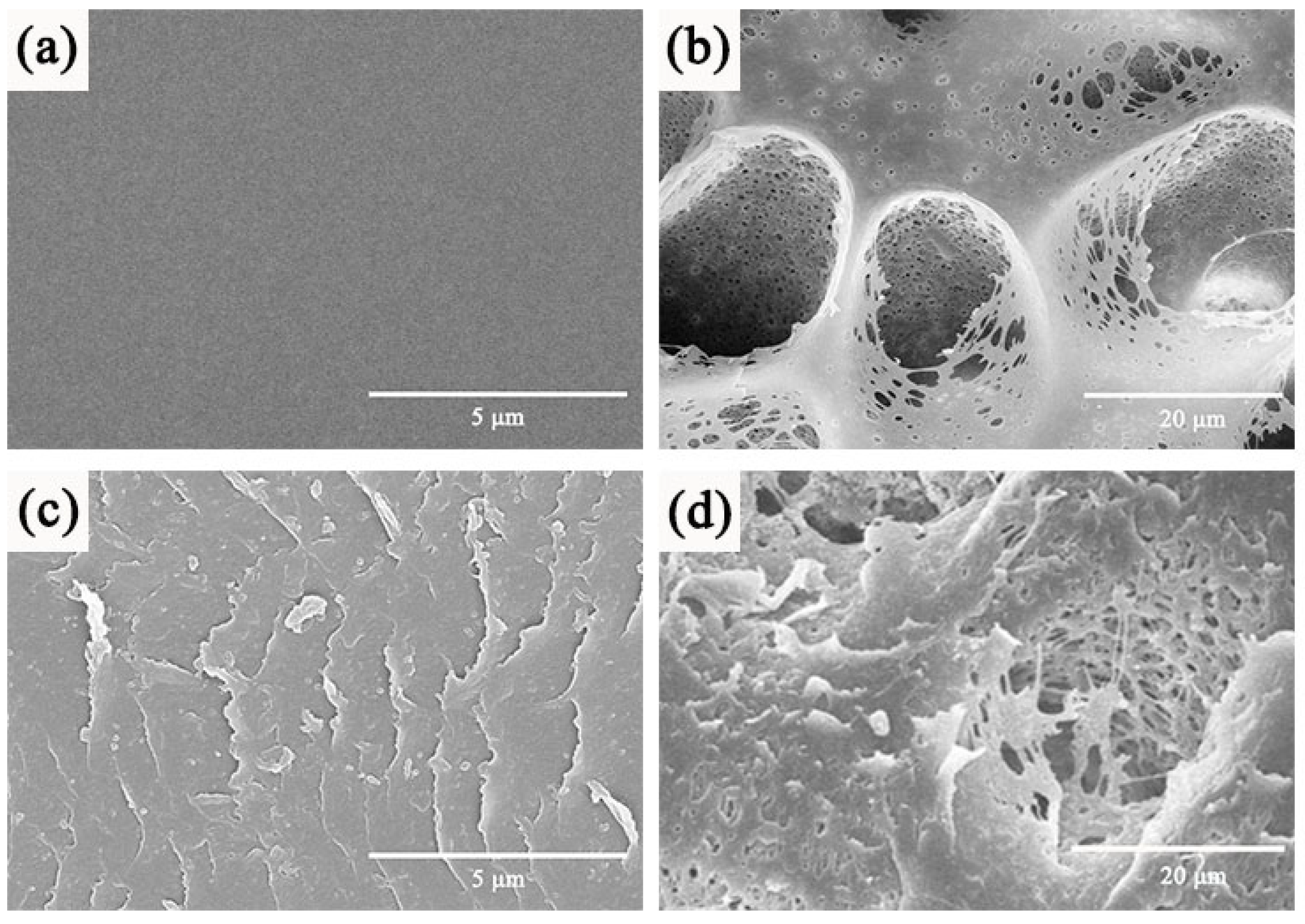 Coatings 13 00050 g002 Coatings 13 00050 g002