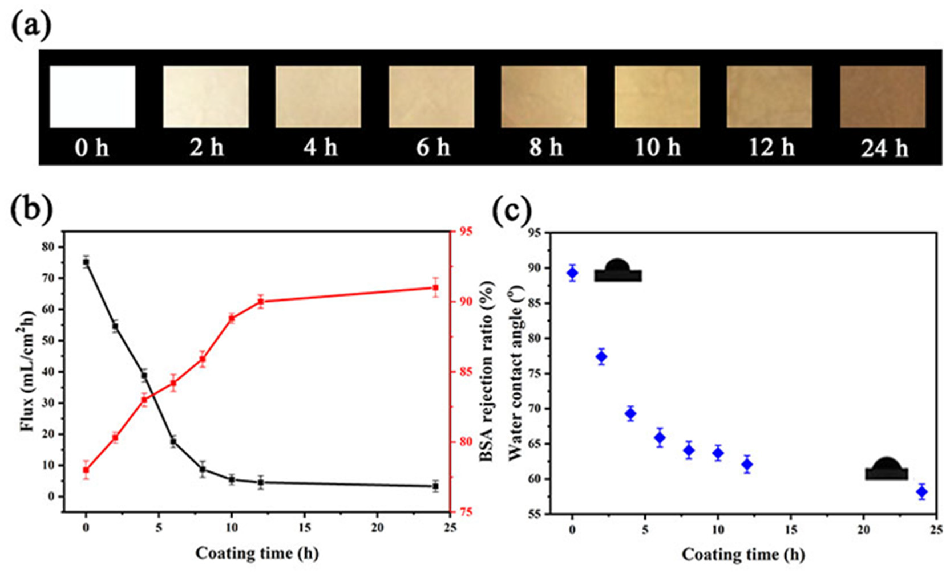 Coatings 13 00050 g004 Coatings 13 00050 g004