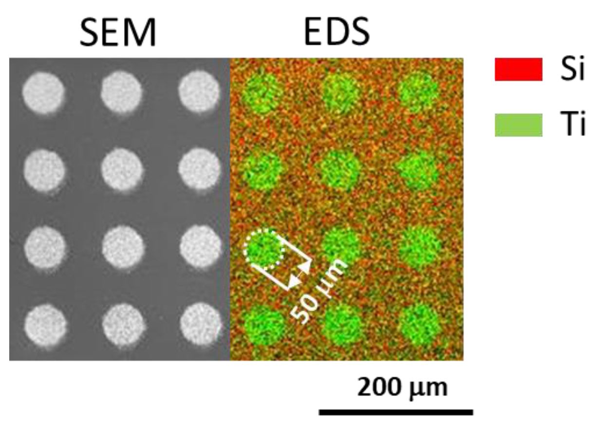 Coatings 13 00051 g003 Coatings 13 00051 g003