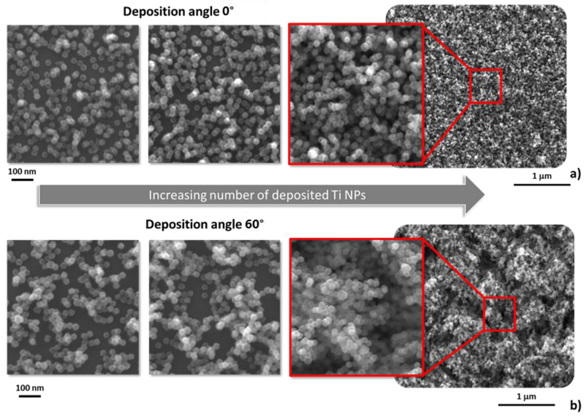 Coatings 13 00051 g007 Coatings 13 00051 g007