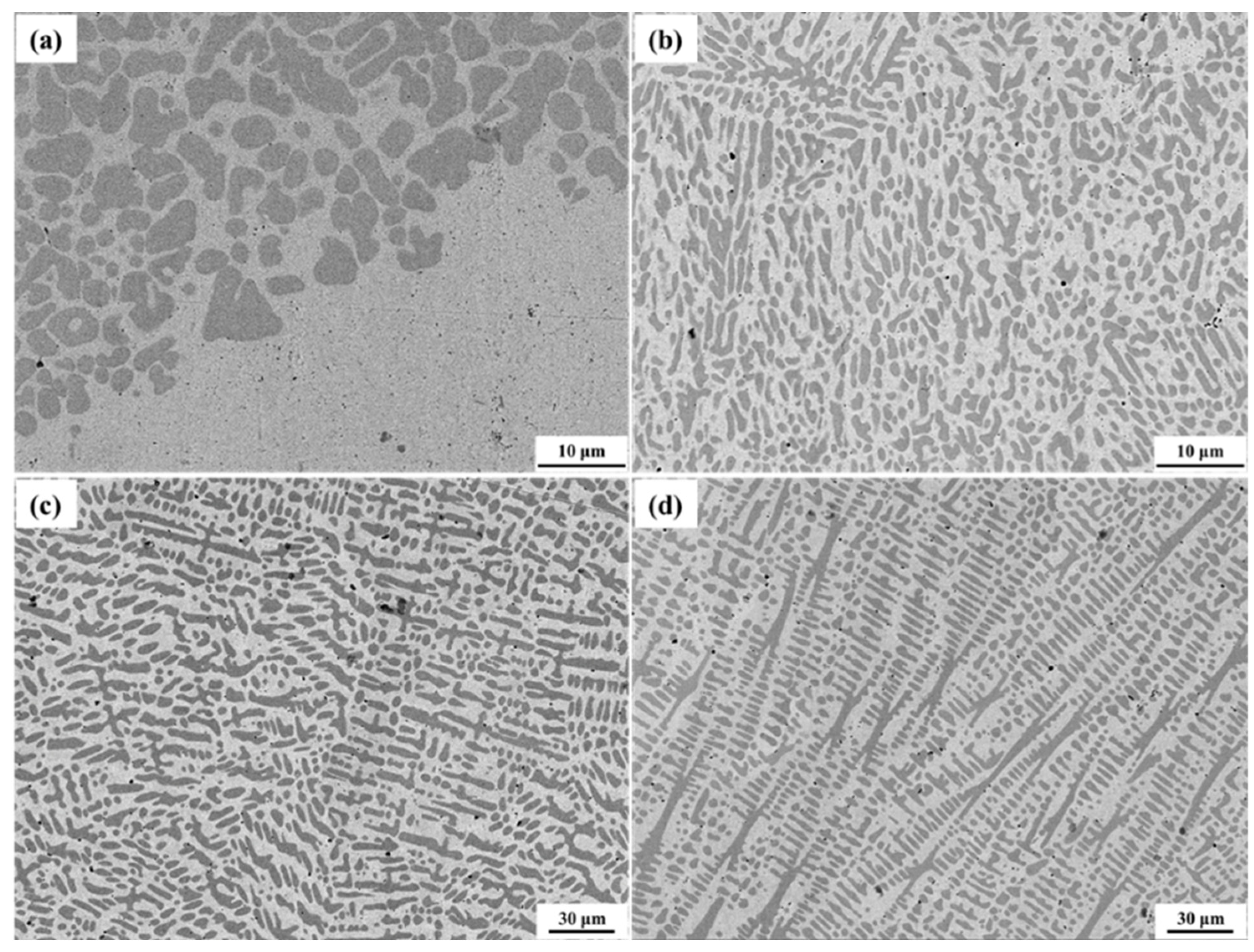 Coatings 13 00052 g004 Coatings 13 00052 g004