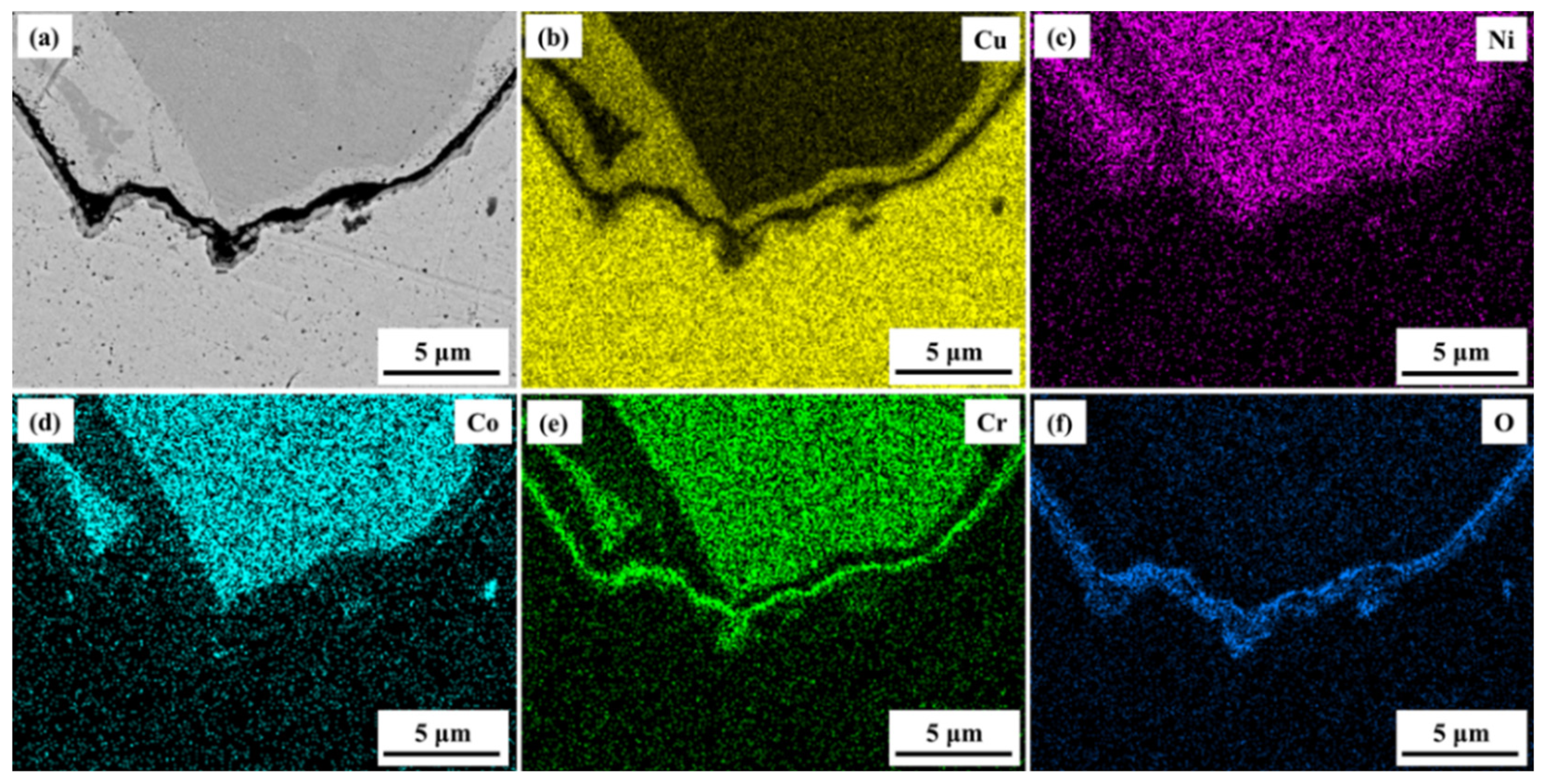 Coatings 13 00052 g006 Coatings 13 00052 g006
