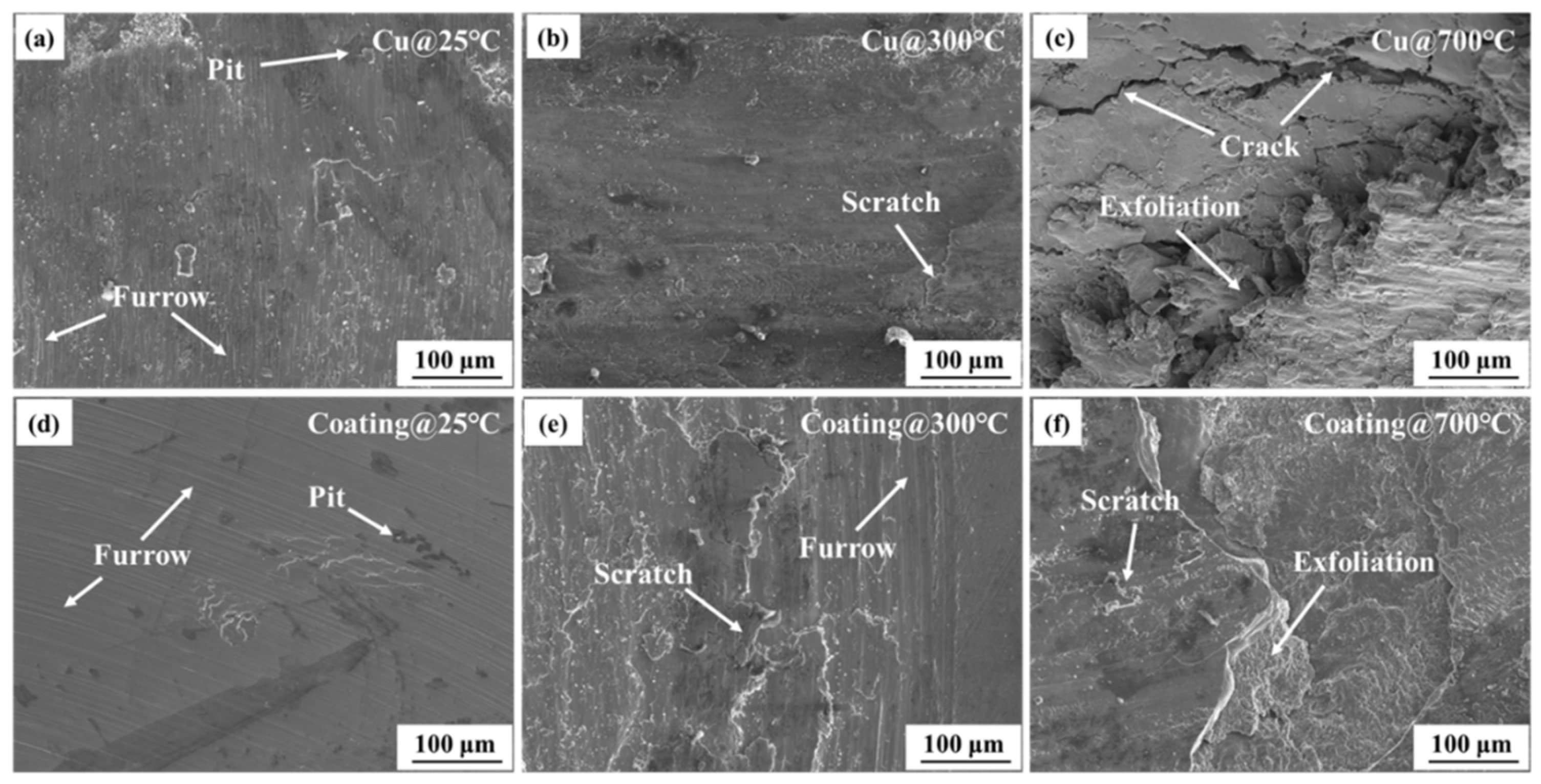 Coatings 13 00052 g012 Coatings 13 00052 g012