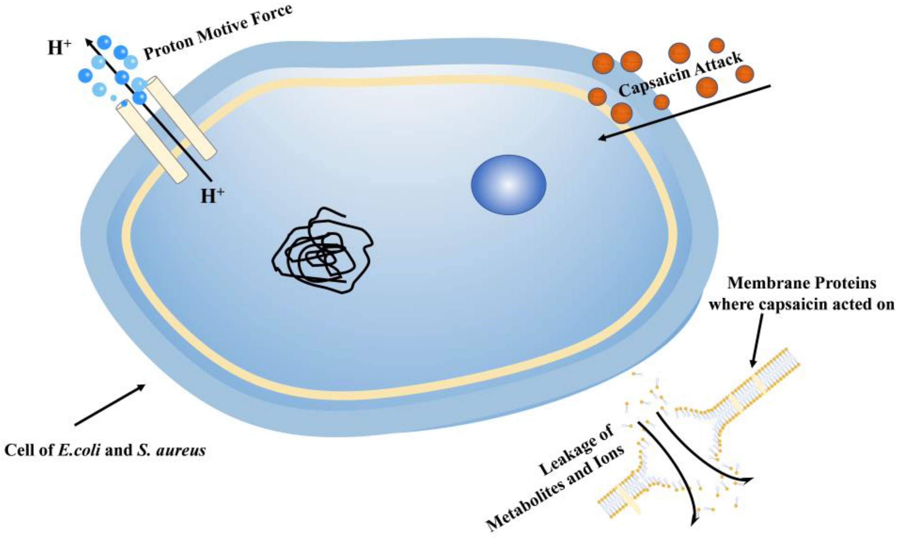 Coatings 13 00057 g010 Coatings 13 00057 g010