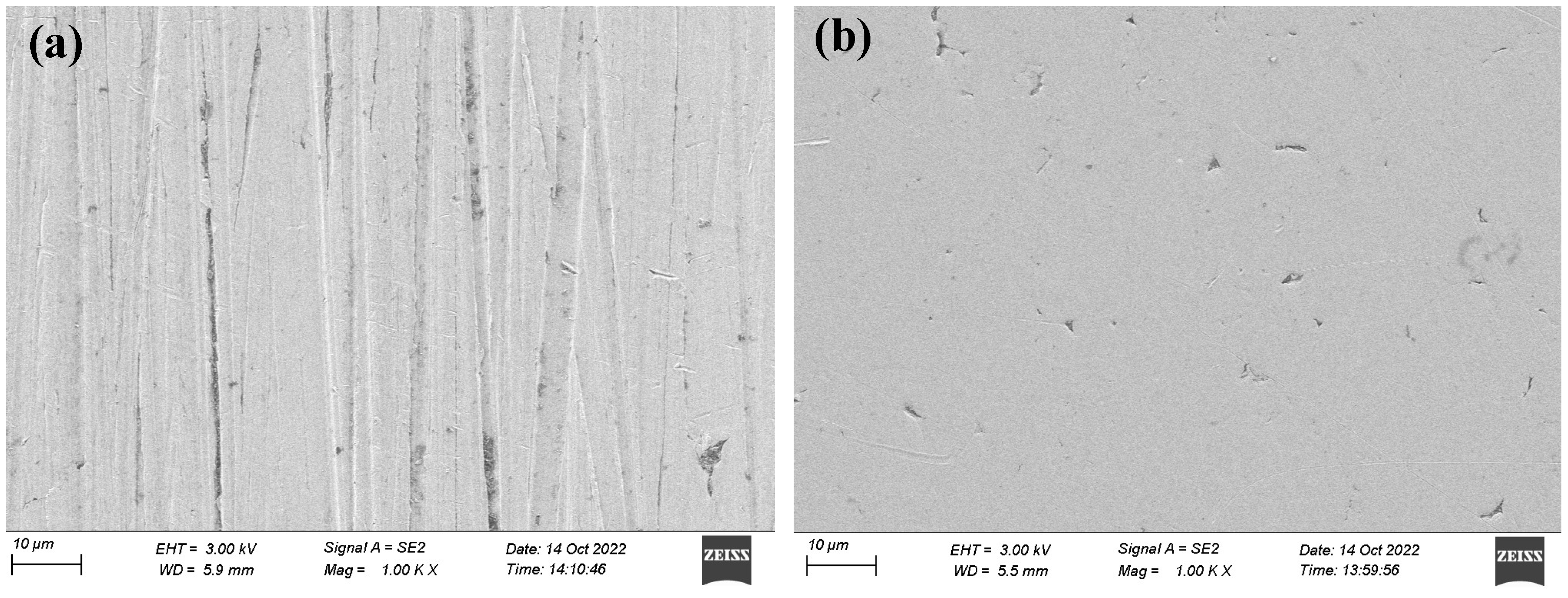 Coatings 13 00060 g002 Coatings 13 00060 g002