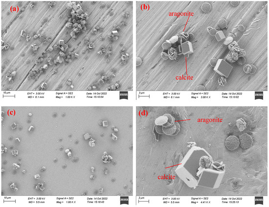 じゅん Anti-Fouling Behaviors of a Modified Surface Induced by an