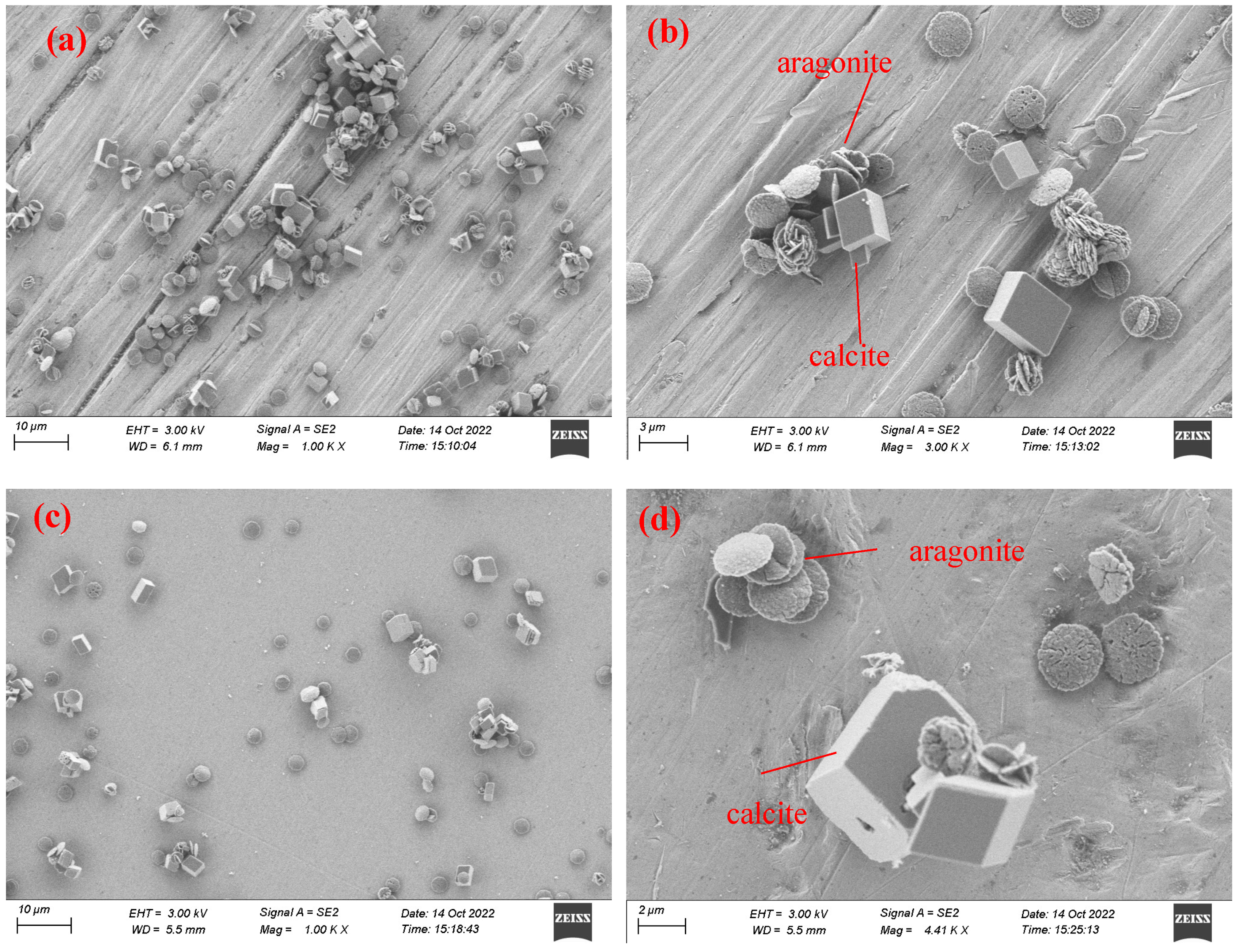 Coatings 13 00060 g008 Coatings 13 00060 g008