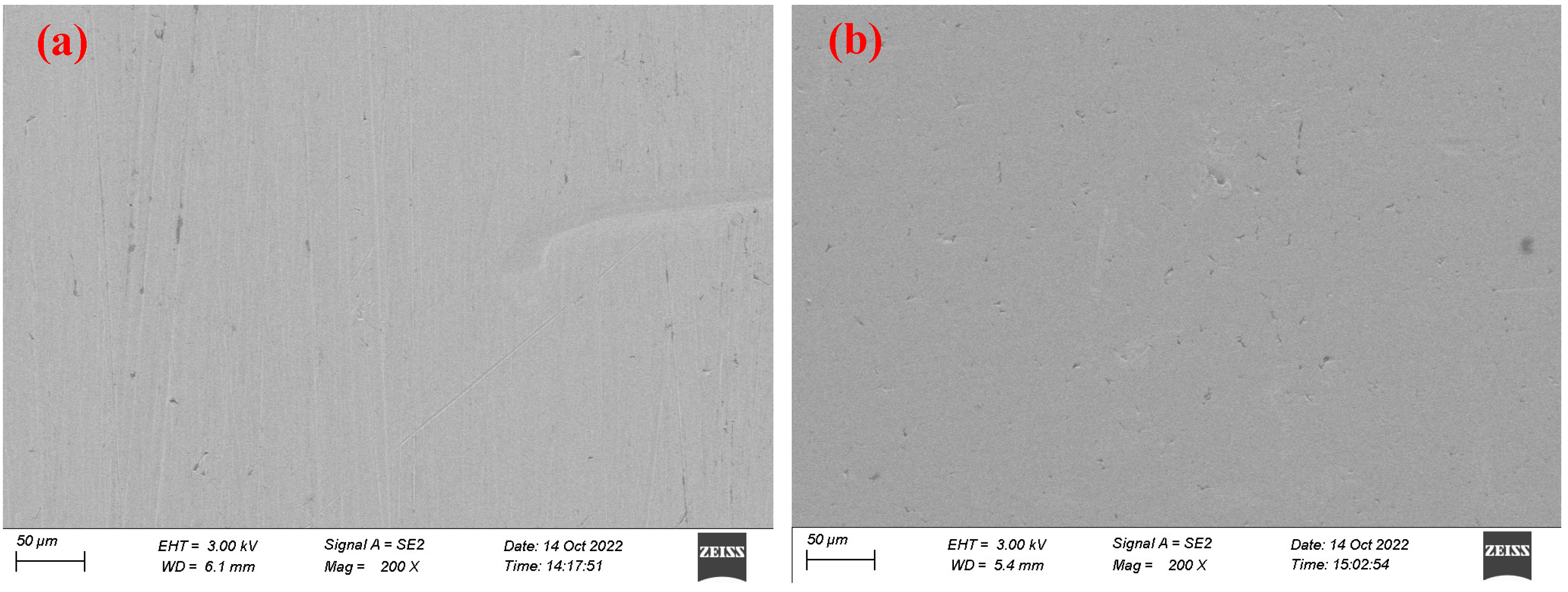 Coatings 13 00060 g009 Coatings 13 00060 g009