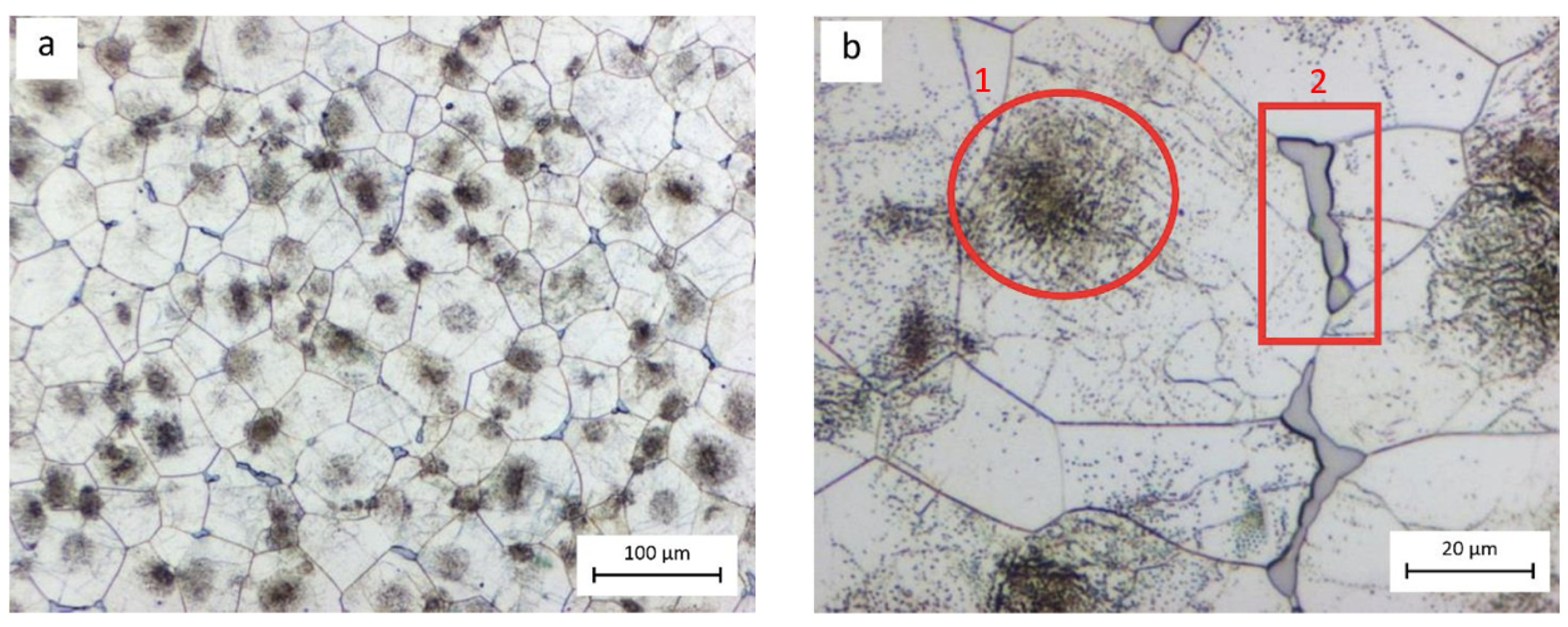 Coatings 13 00062 g001 Coatings 13 00062 g001