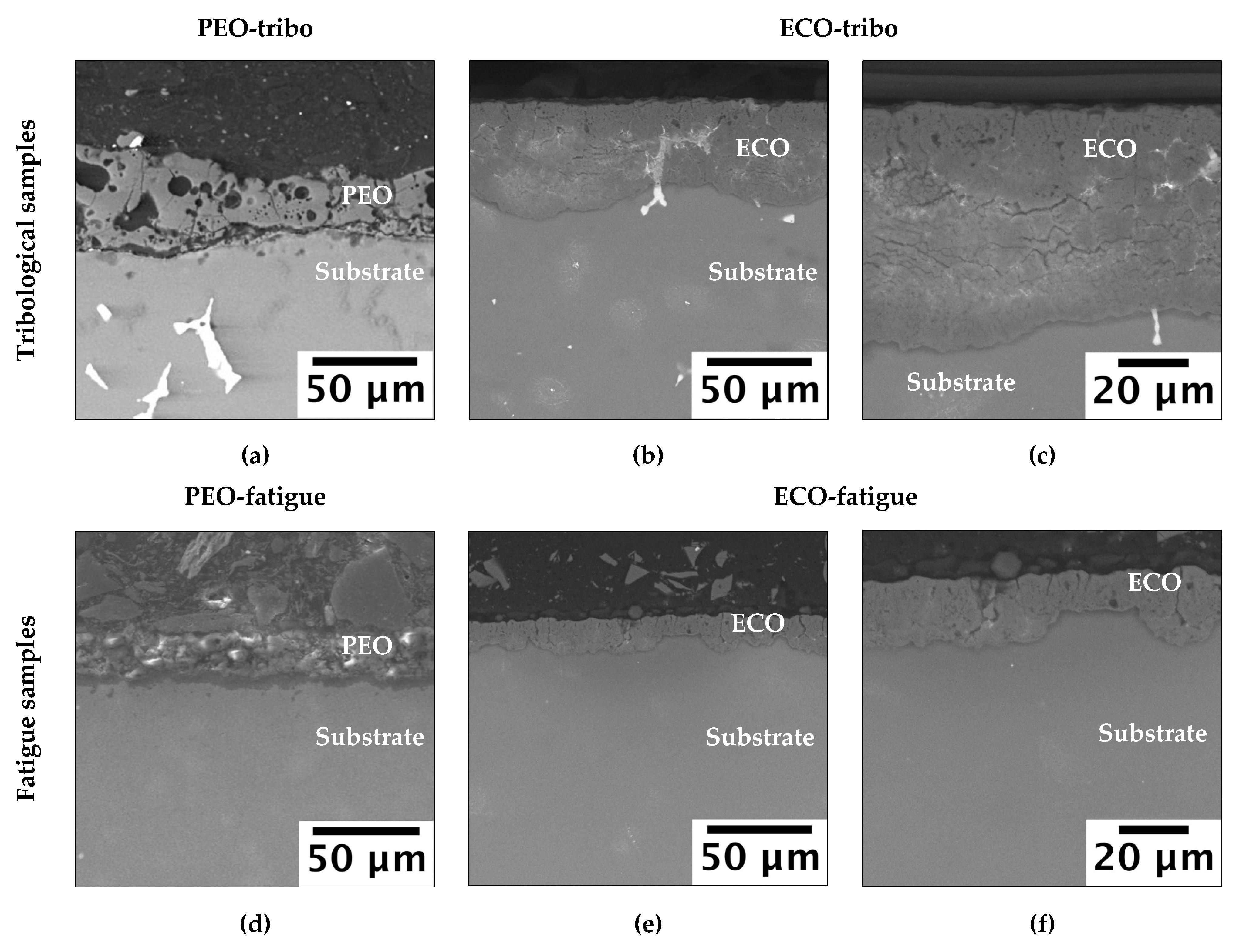 Coatings 13 00062 g003 Coatings 13 00062 g003