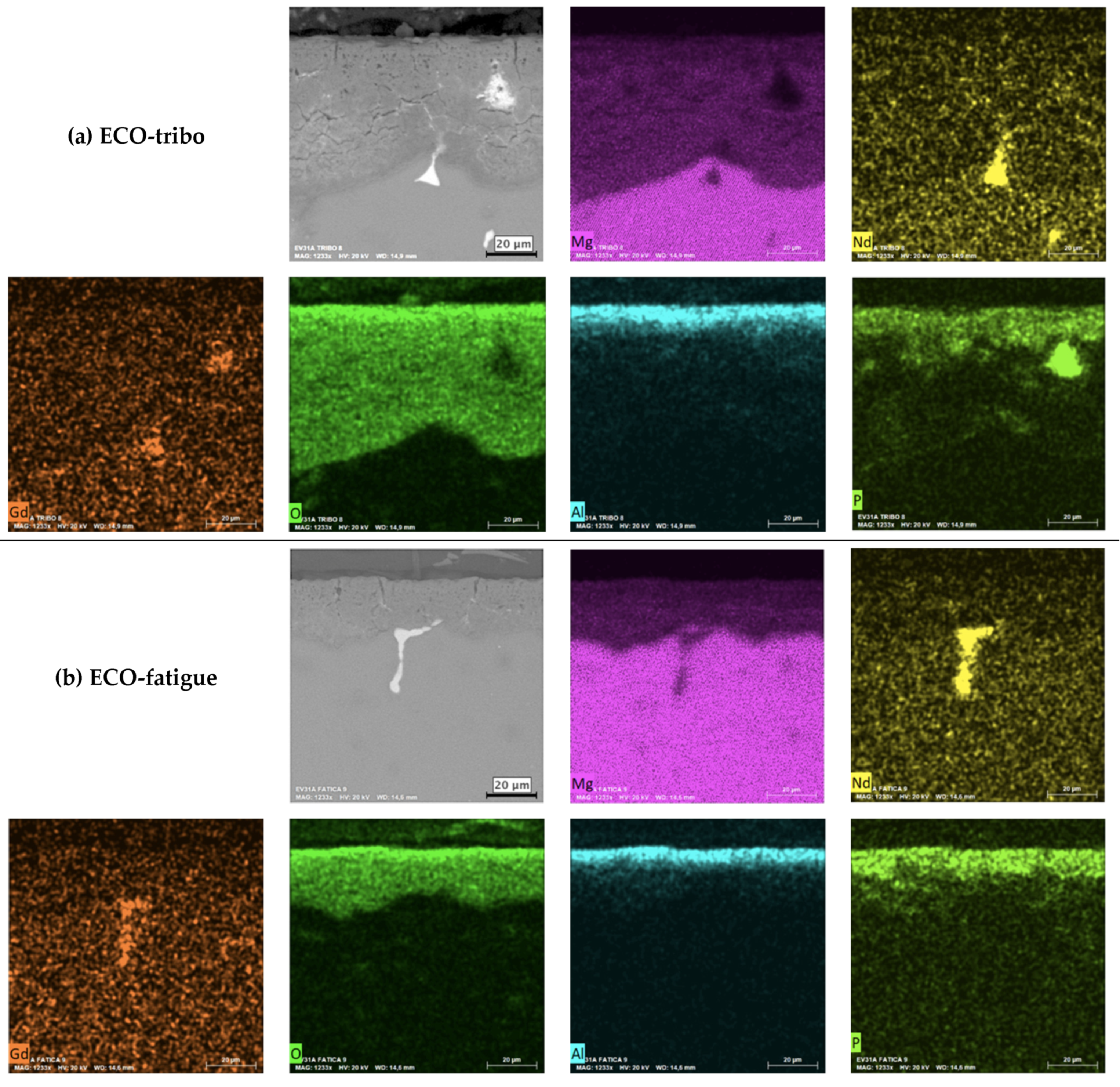 Coatings 13 00062 g004 Coatings 13 00062 g004