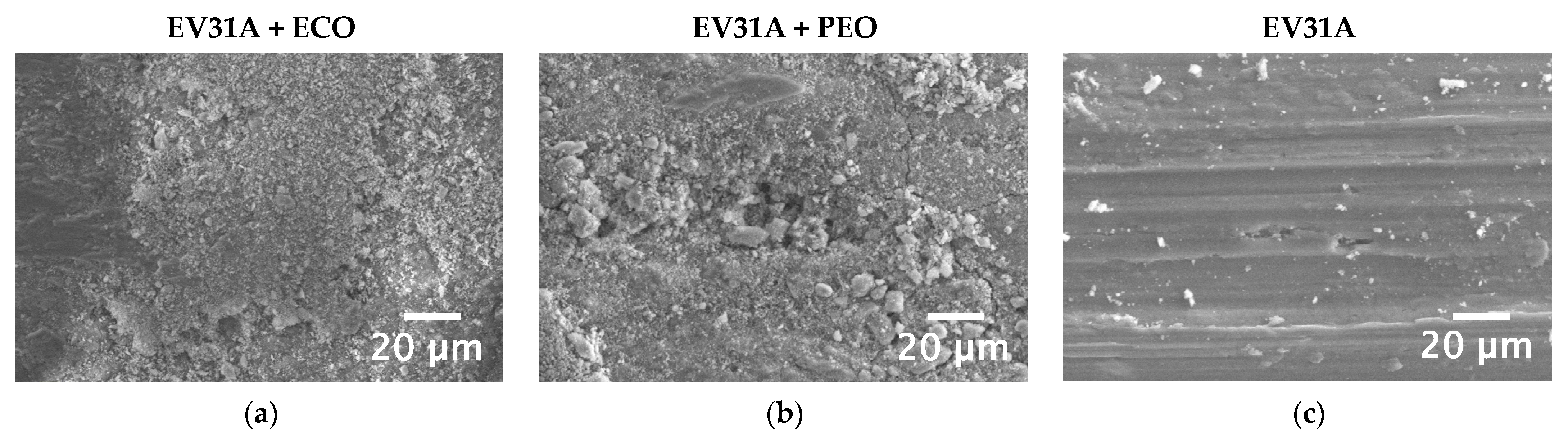 Coatings 13 00062 g010 Coatings 13 00062 g010