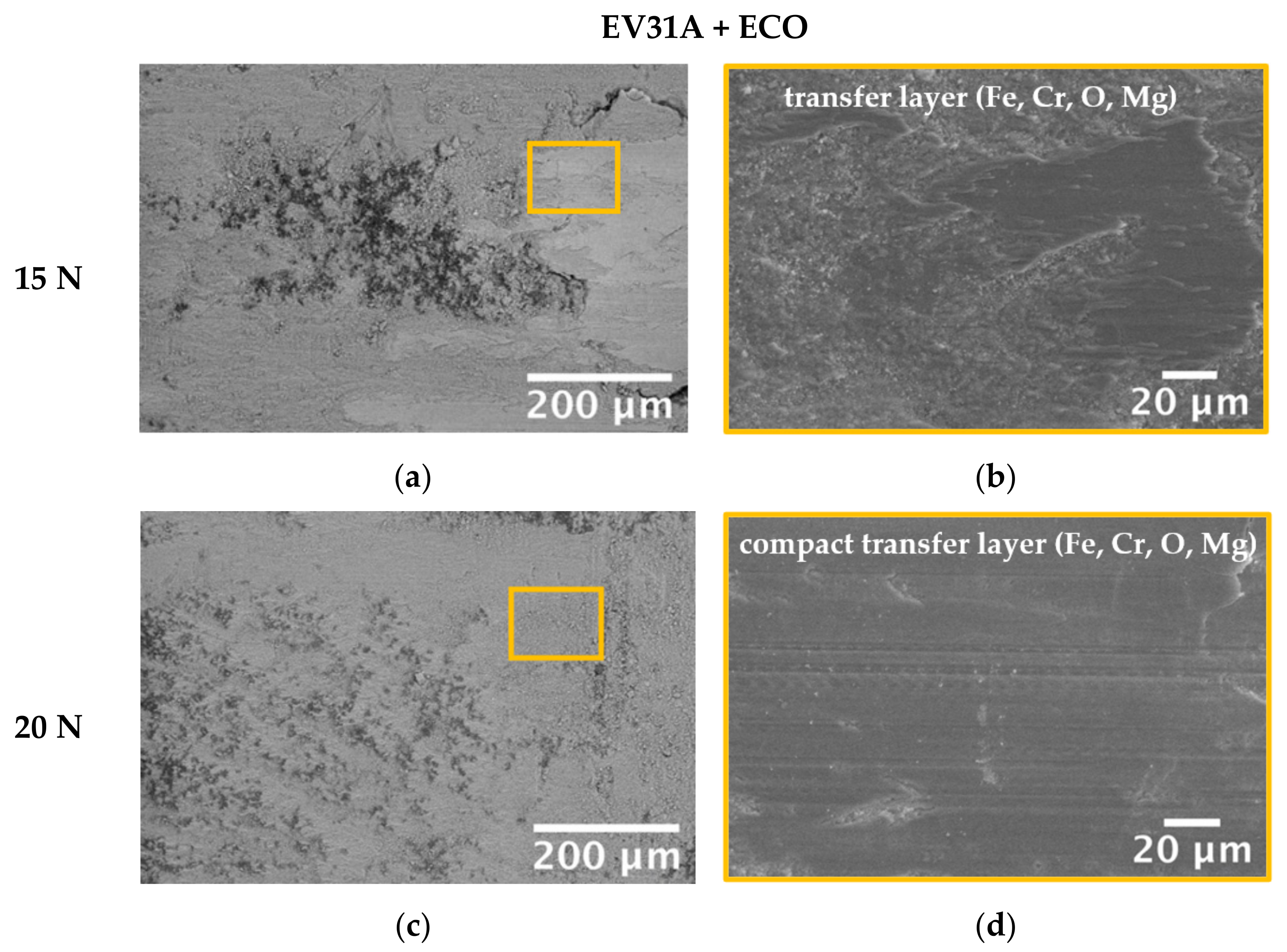 Coatings 13 00062 g011a Coatings 13 00062 g011a