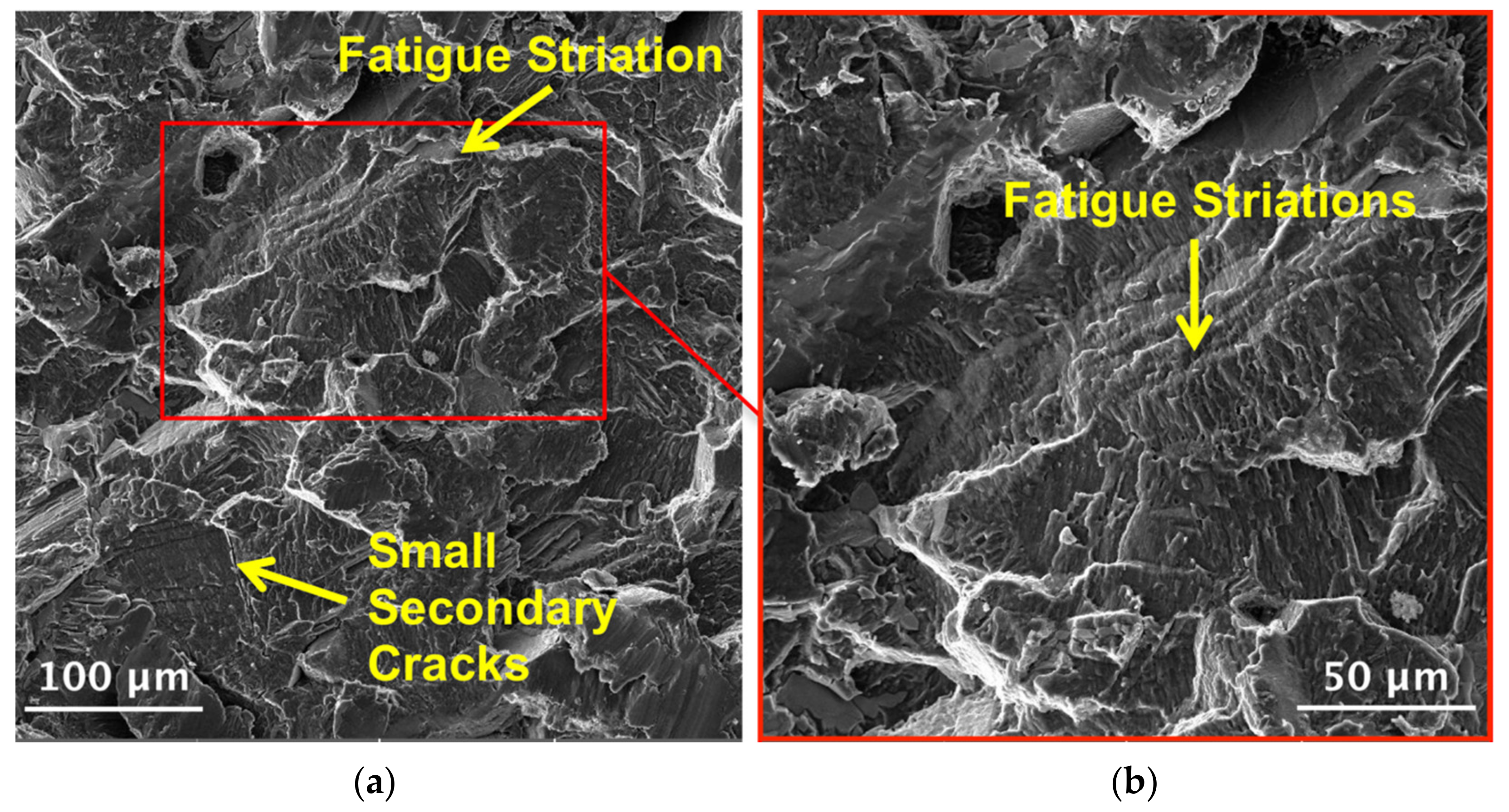 Coatings 13 00062 g014 Coatings 13 00062 g014