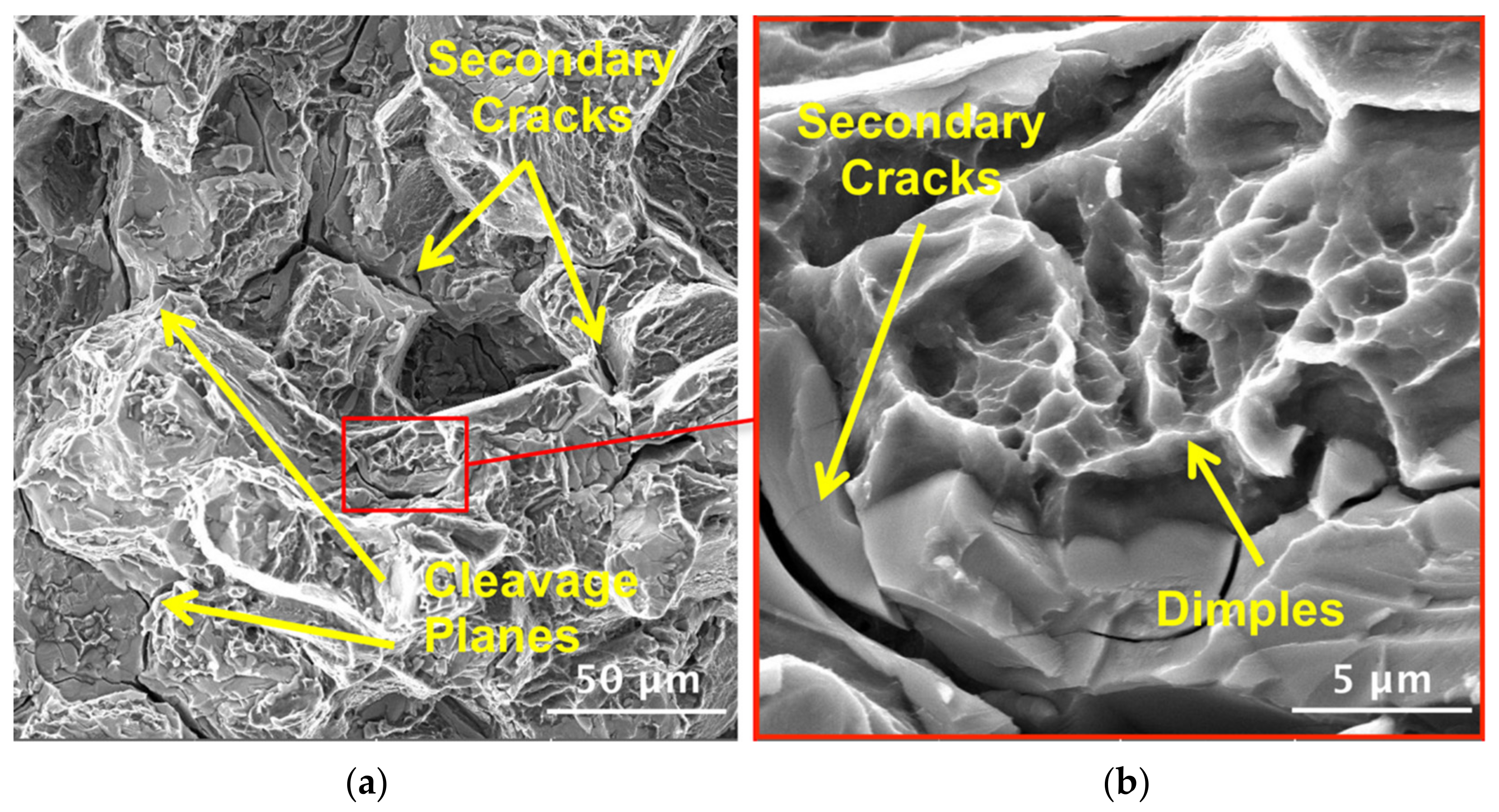 Coatings 13 00062 g015 Coatings 13 00062 g015