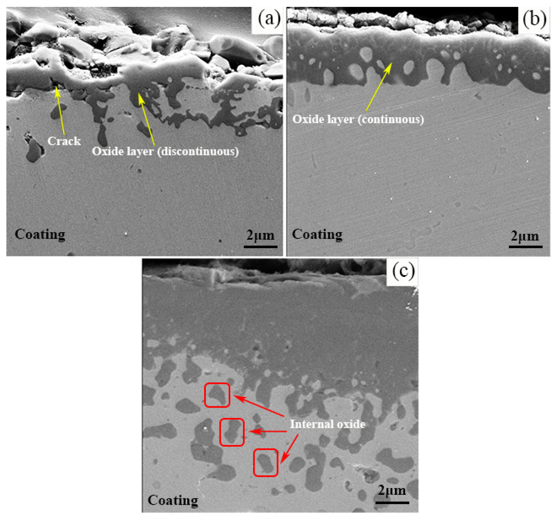 Coatings 13 00063 g007